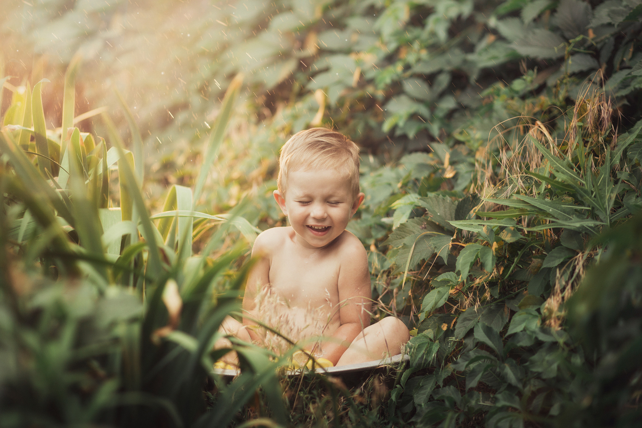 Даня. Свадебный и семейный фотограф  Новочеркасск Виктория Литвиненко