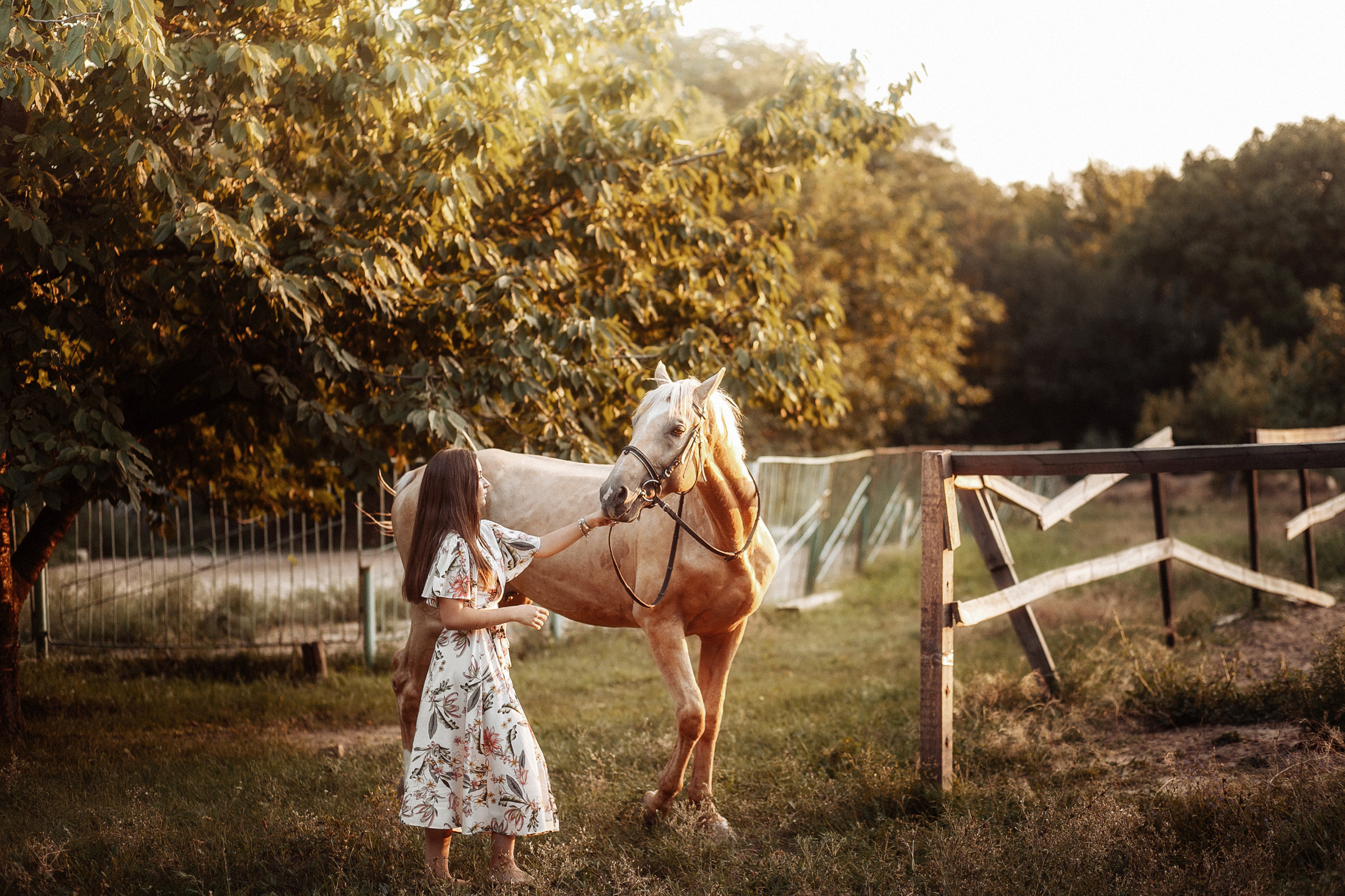София. Свадебный и семейный фотограф  Новочеркасск Виктория Литвиненко