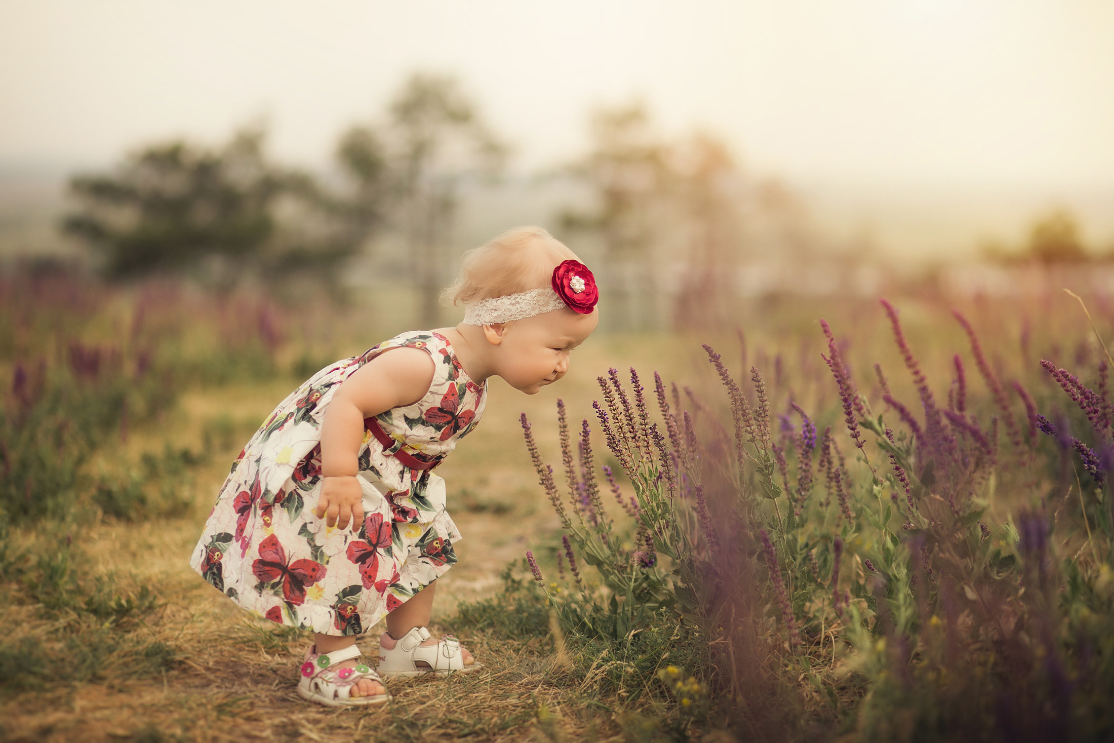 Семья Кристины. Свадебный и семейный фотограф  Новочеркасск Виктория Литвиненко