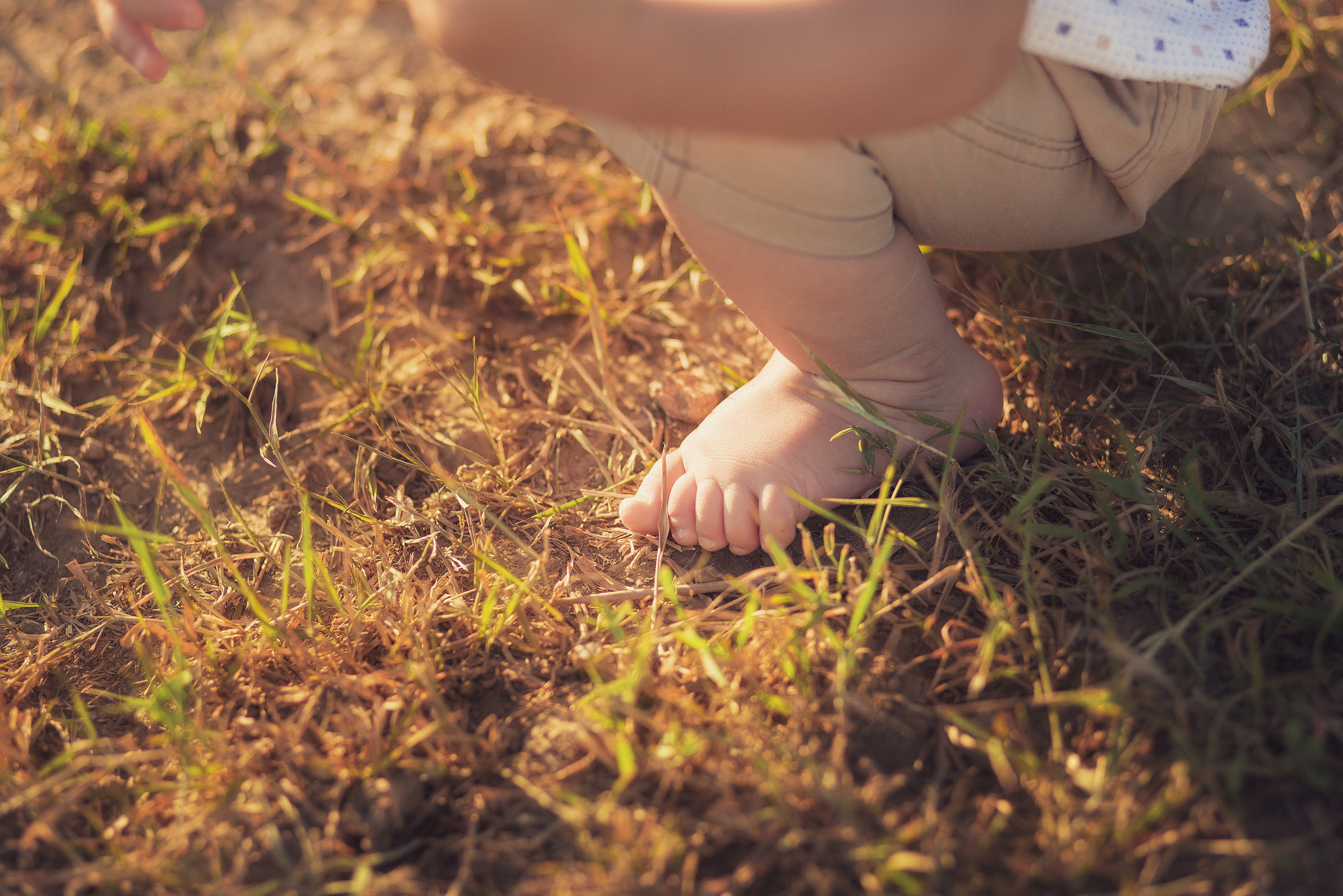 Семья Лены. Свадебный и семейный фотограф  Новочеркасск Виктория Литвиненко