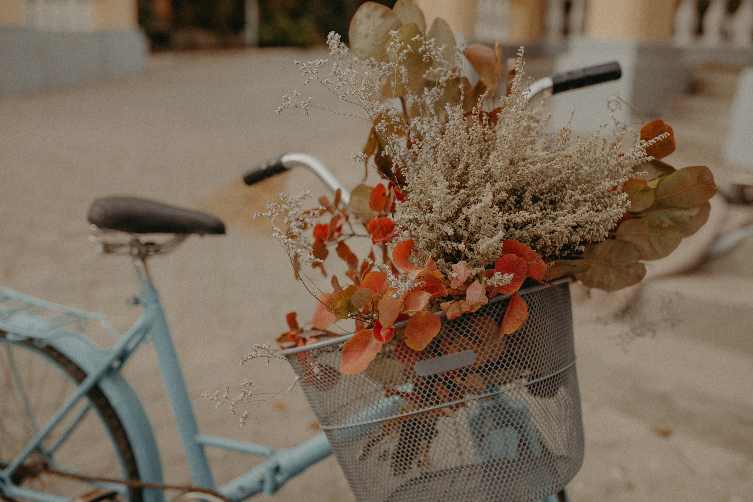 Осень в парке. Свадебный и семейный фотограф  Новочеркасск Виктория Литвиненко