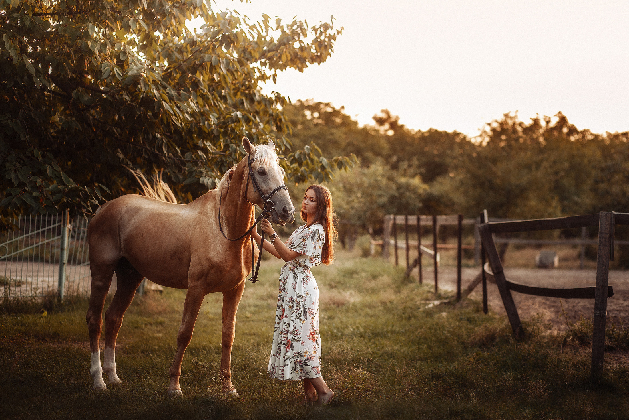 София. Свадебный и семейный фотограф  Новочеркасск Виктория Литвиненко