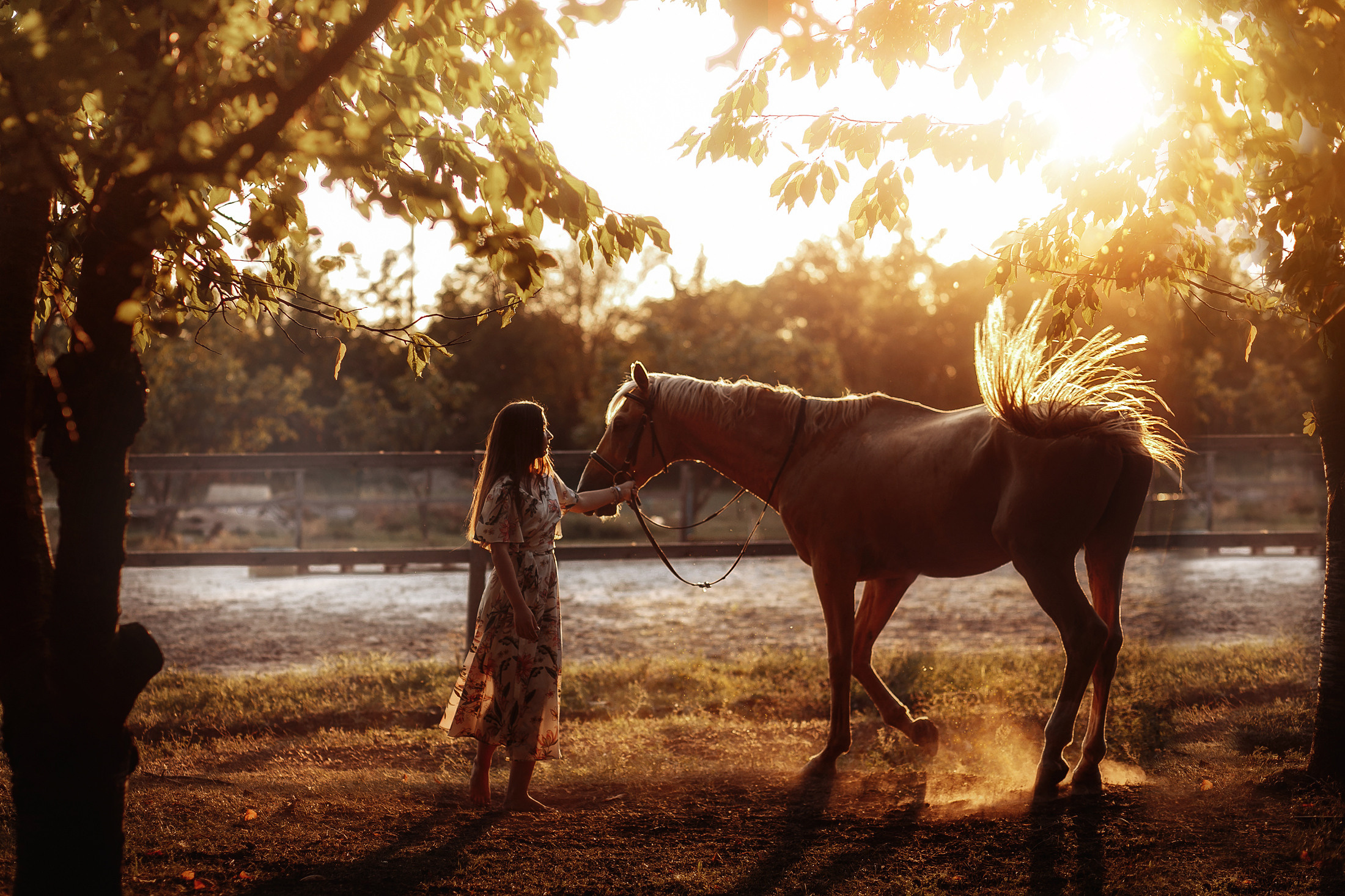 София. Свадебный и семейный фотограф  Новочеркасск Виктория Литвиненко