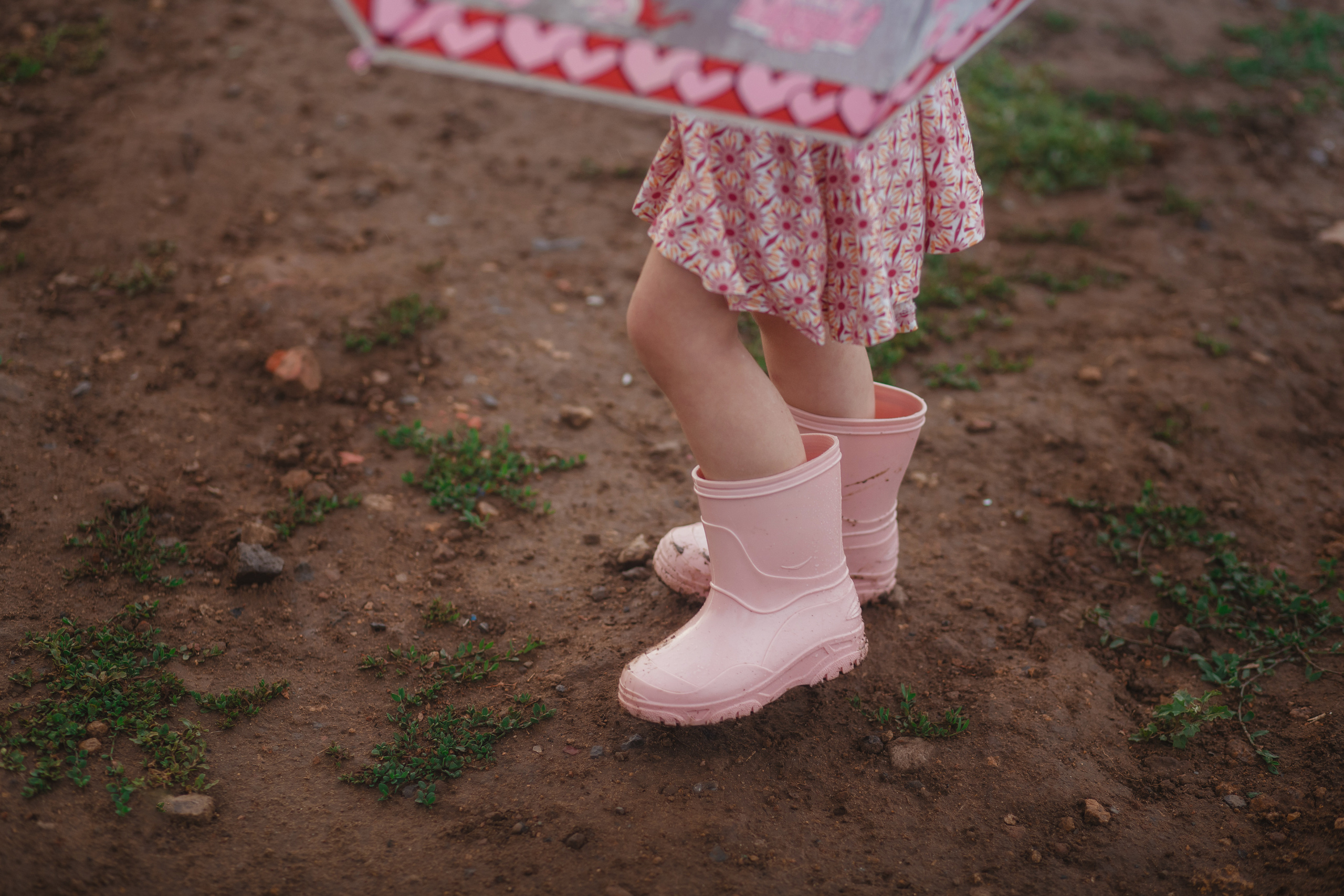 Оля и Даша. Свадебный и семейный фотограф  Новочеркасск Виктория Литвиненко