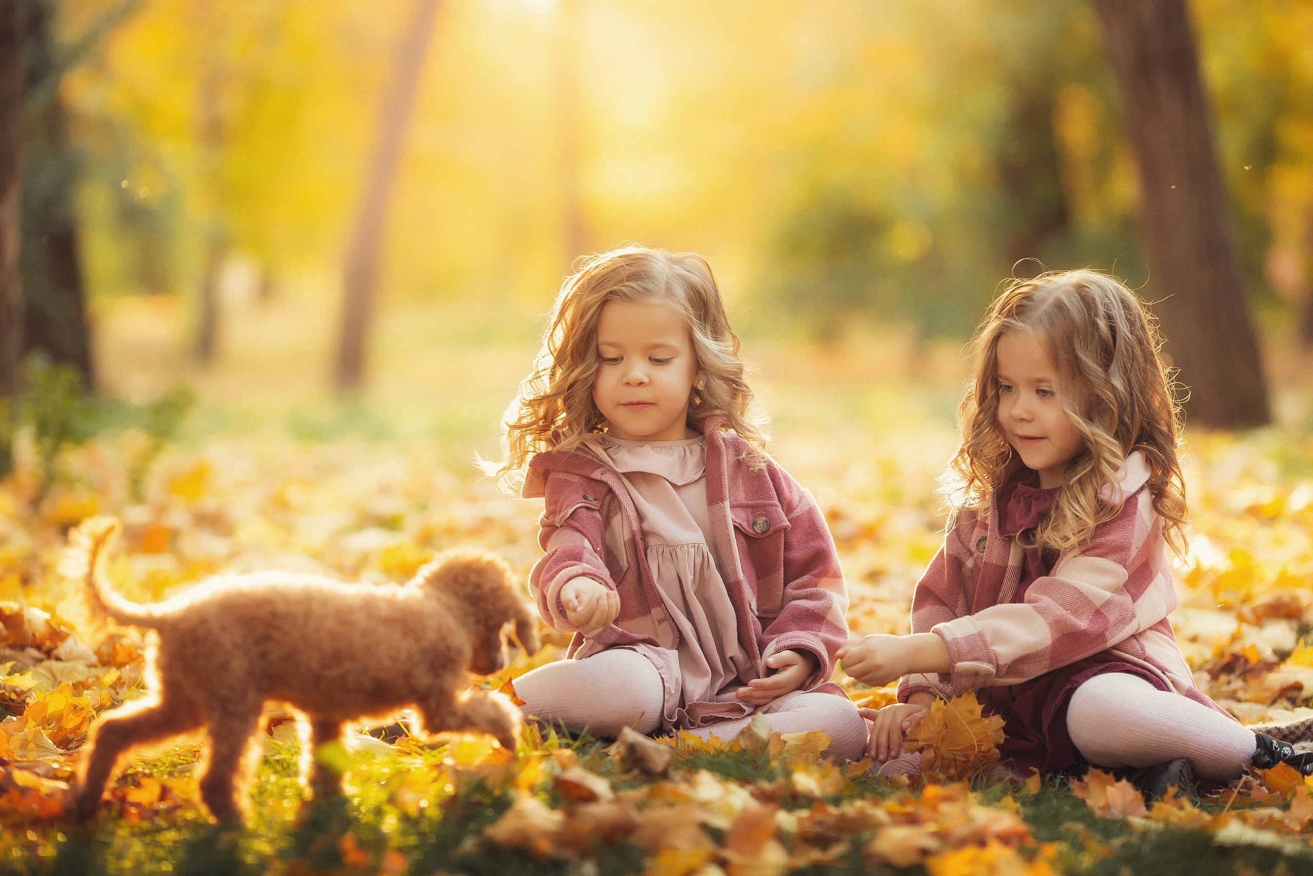 Даша и Алиса. Свадебный и семейный фотограф  Новочеркасск Виктория Литвиненко