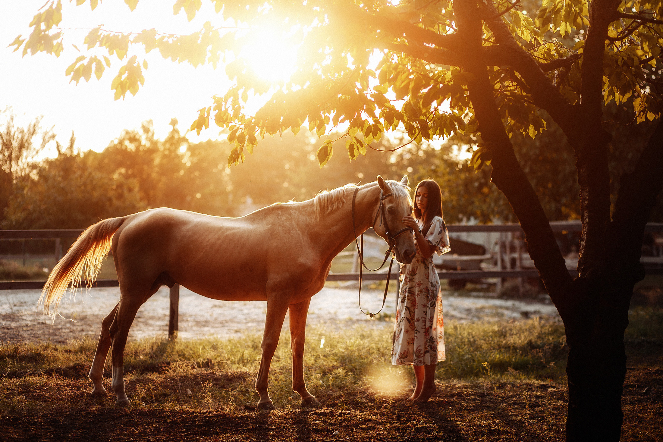 София. Свадебный и семейный фотограф  Новочеркасск Виктория Литвиненко