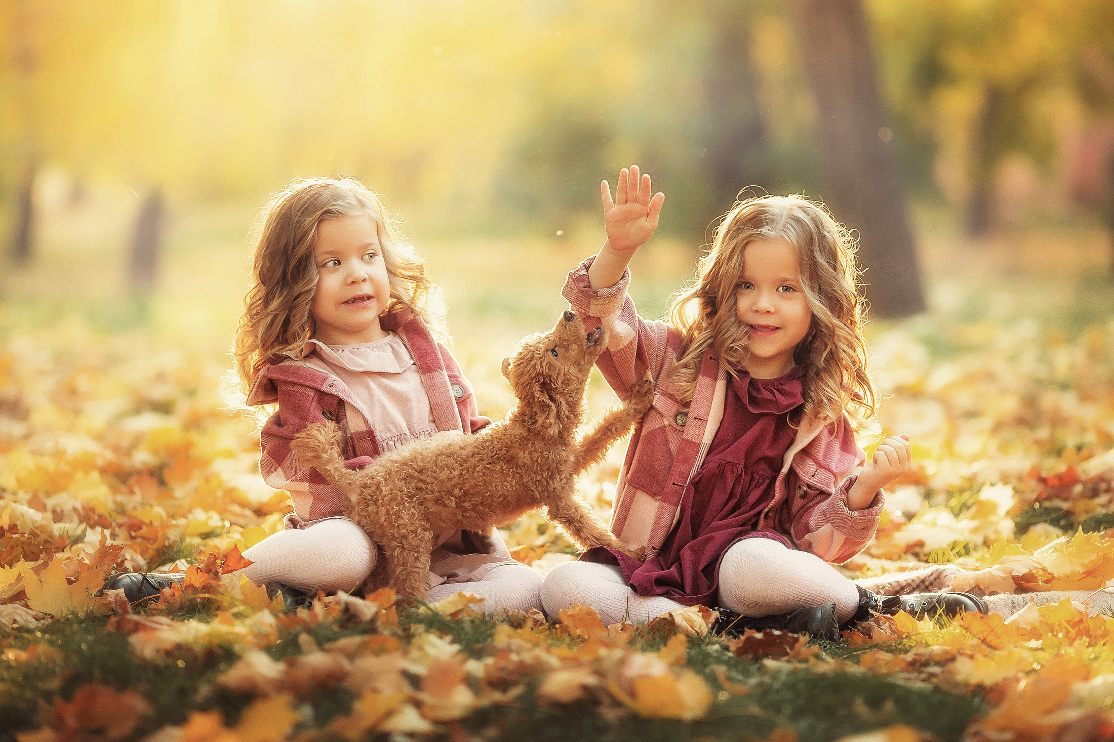 Даша и Алиса. Свадебный и семейный фотограф  Новочеркасск Виктория Литвиненко