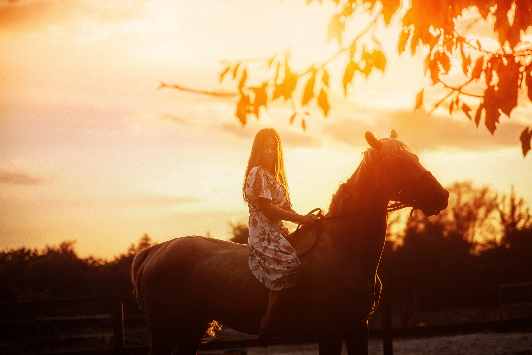 София. Свадебный и семейный фотограф  Новочеркасск Виктория Литвиненко