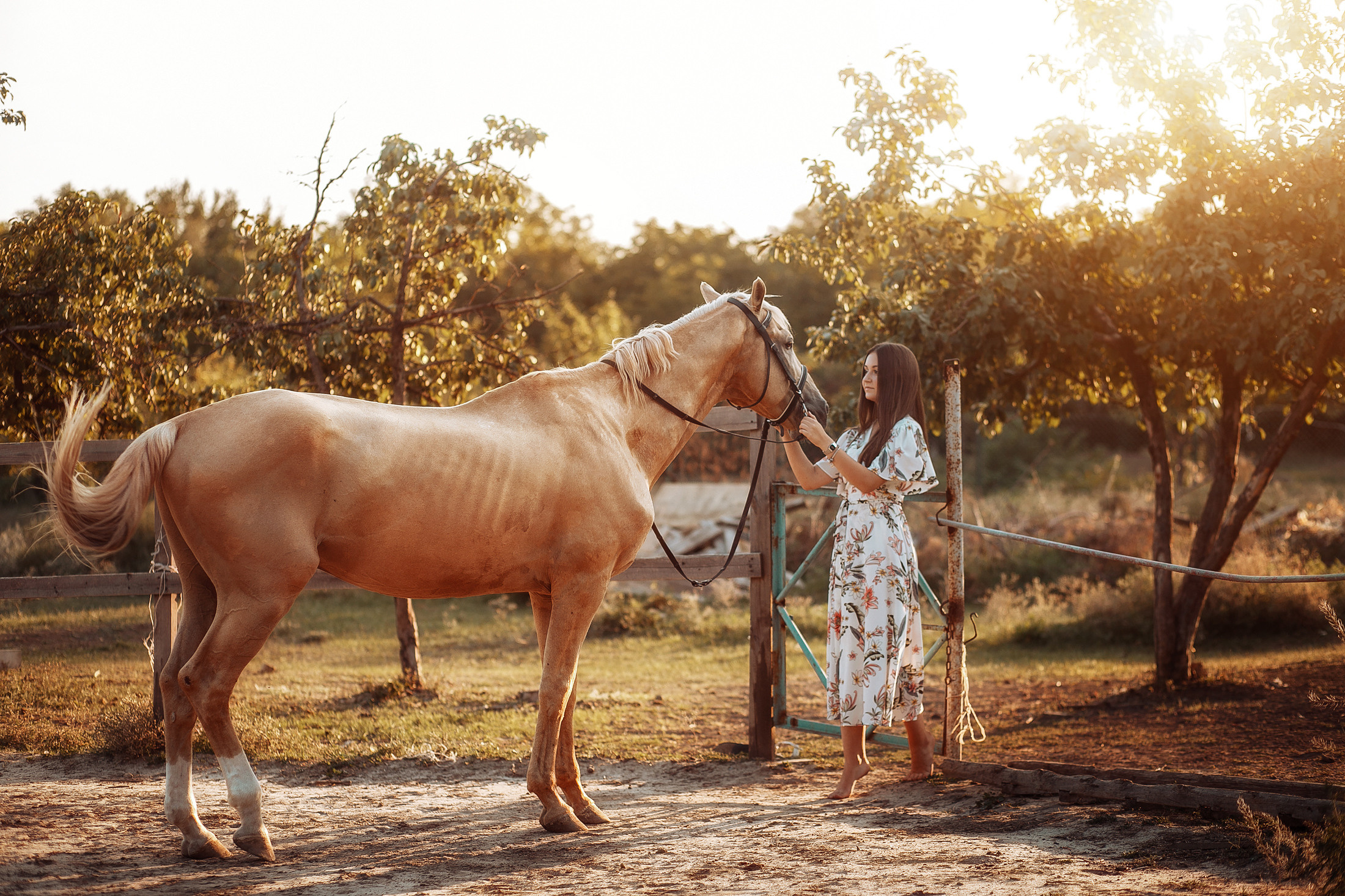 София. Свадебный и семейный фотограф  Новочеркасск Виктория Литвиненко