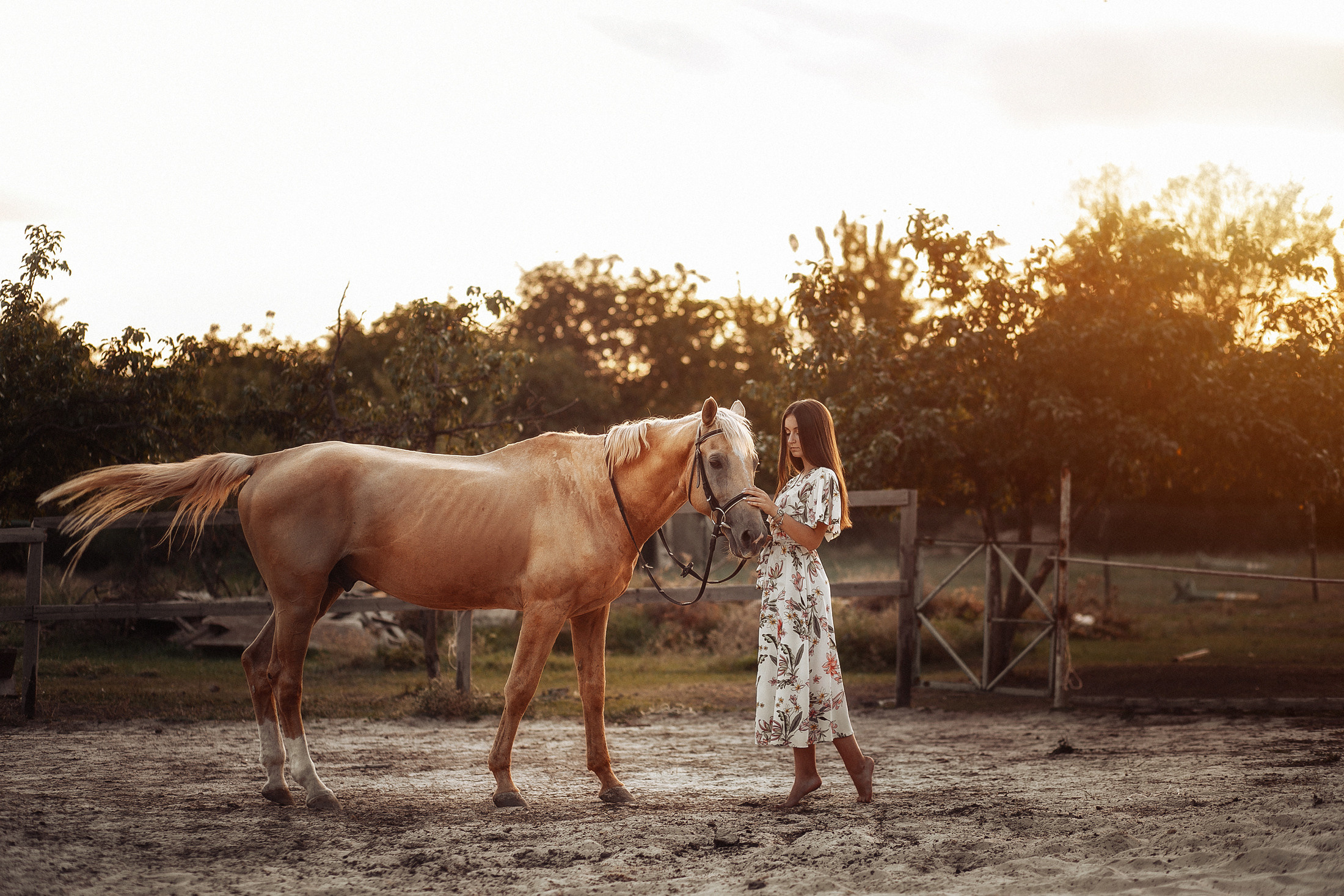 София. Свадебный и семейный фотограф  Новочеркасск Виктория Литвиненко