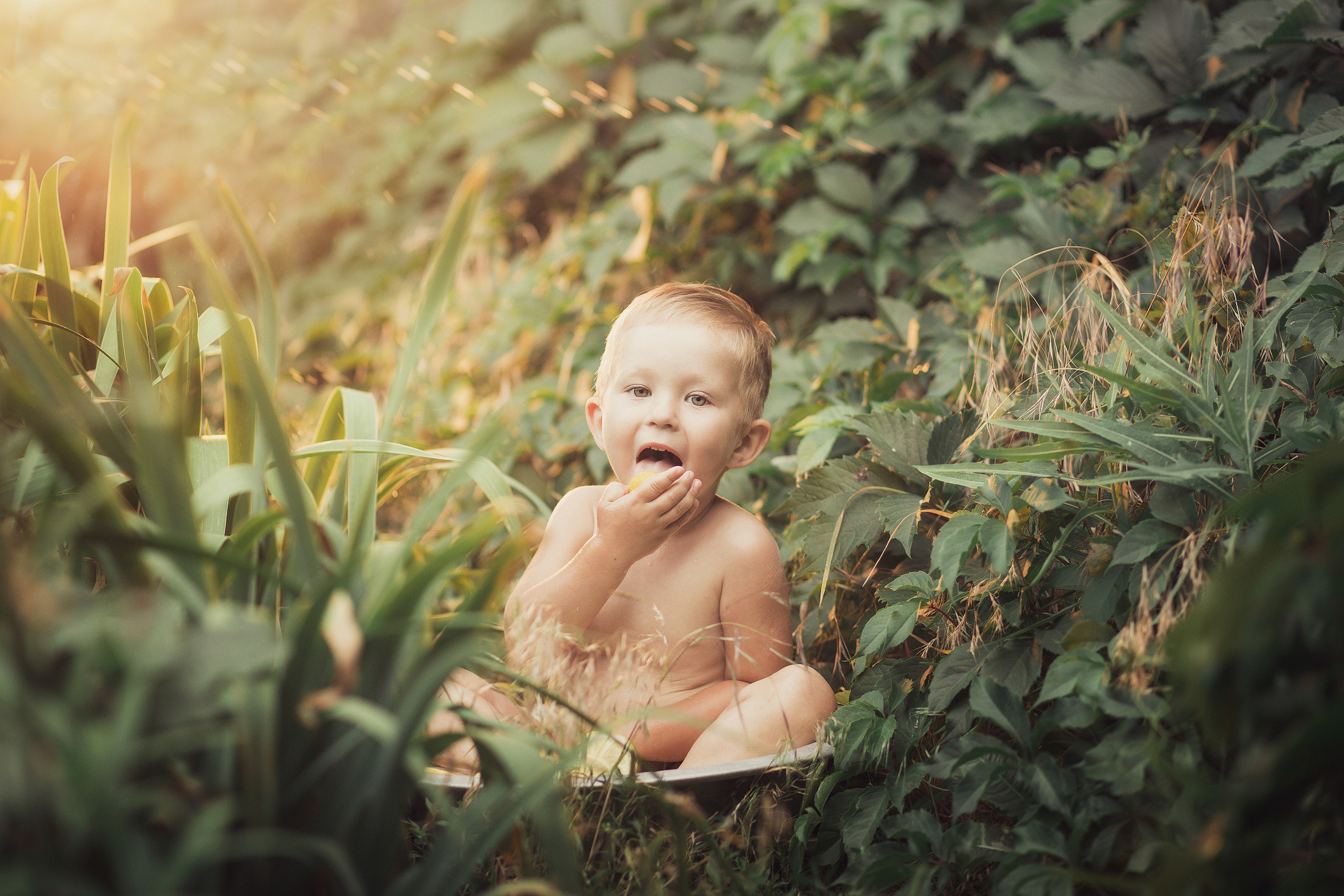 Даня. Свадебный и семейный фотограф  Новочеркасск Виктория Литвиненко
