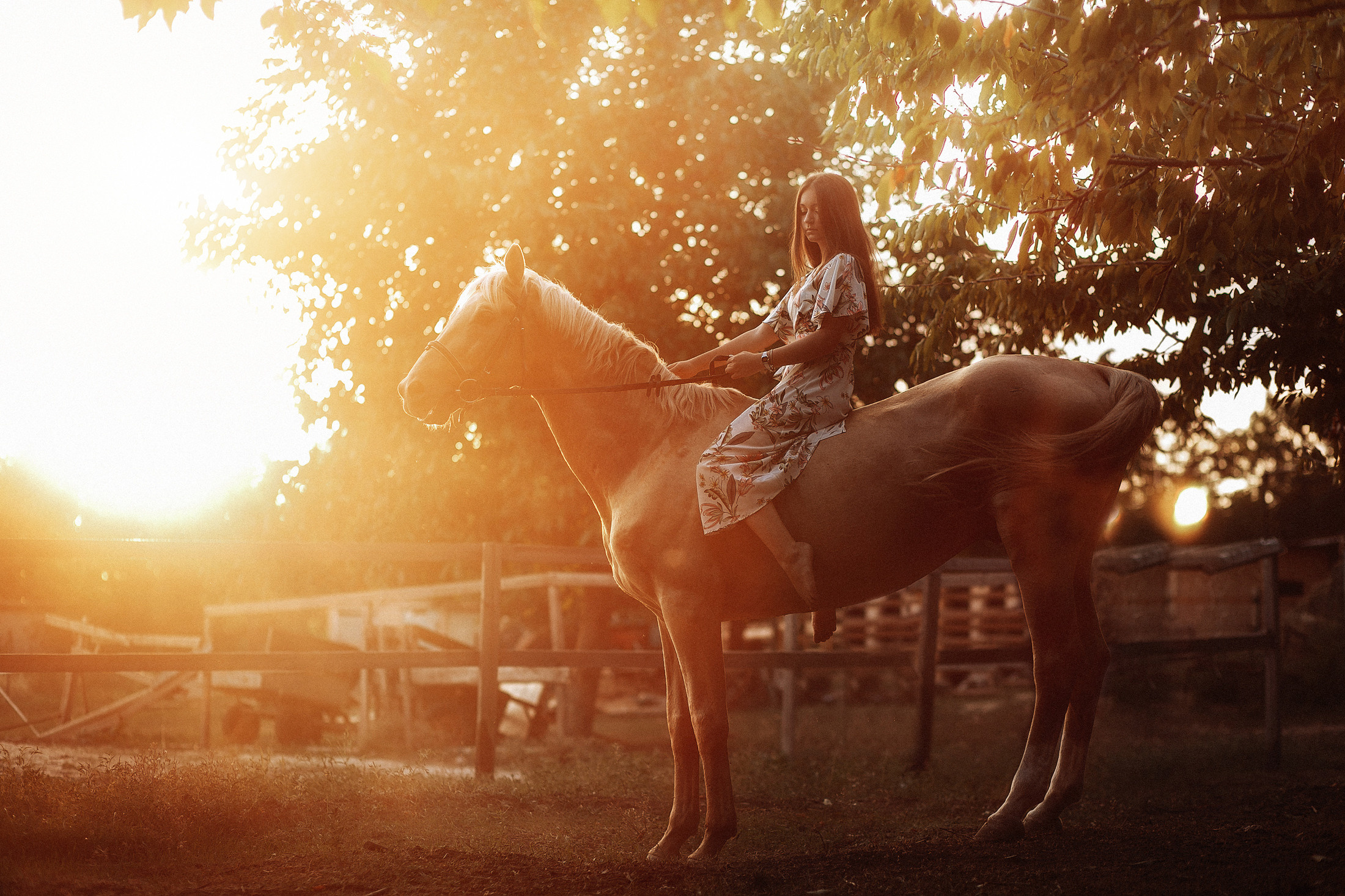 София. Свадебный и семейный фотограф  Новочеркасск Виктория Литвиненко