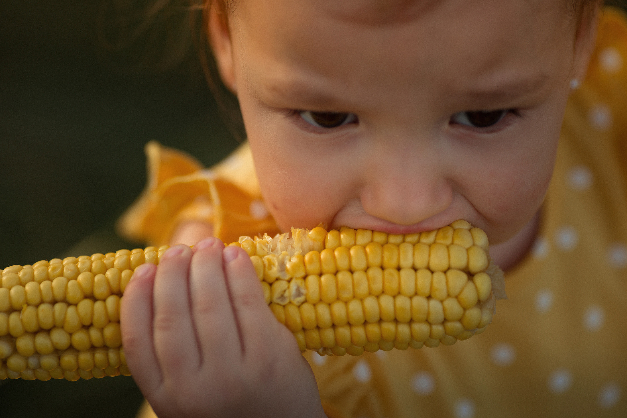 Семья Анжелы. Свадебный и семейный фотограф  Новочеркасск Виктория Литвиненко