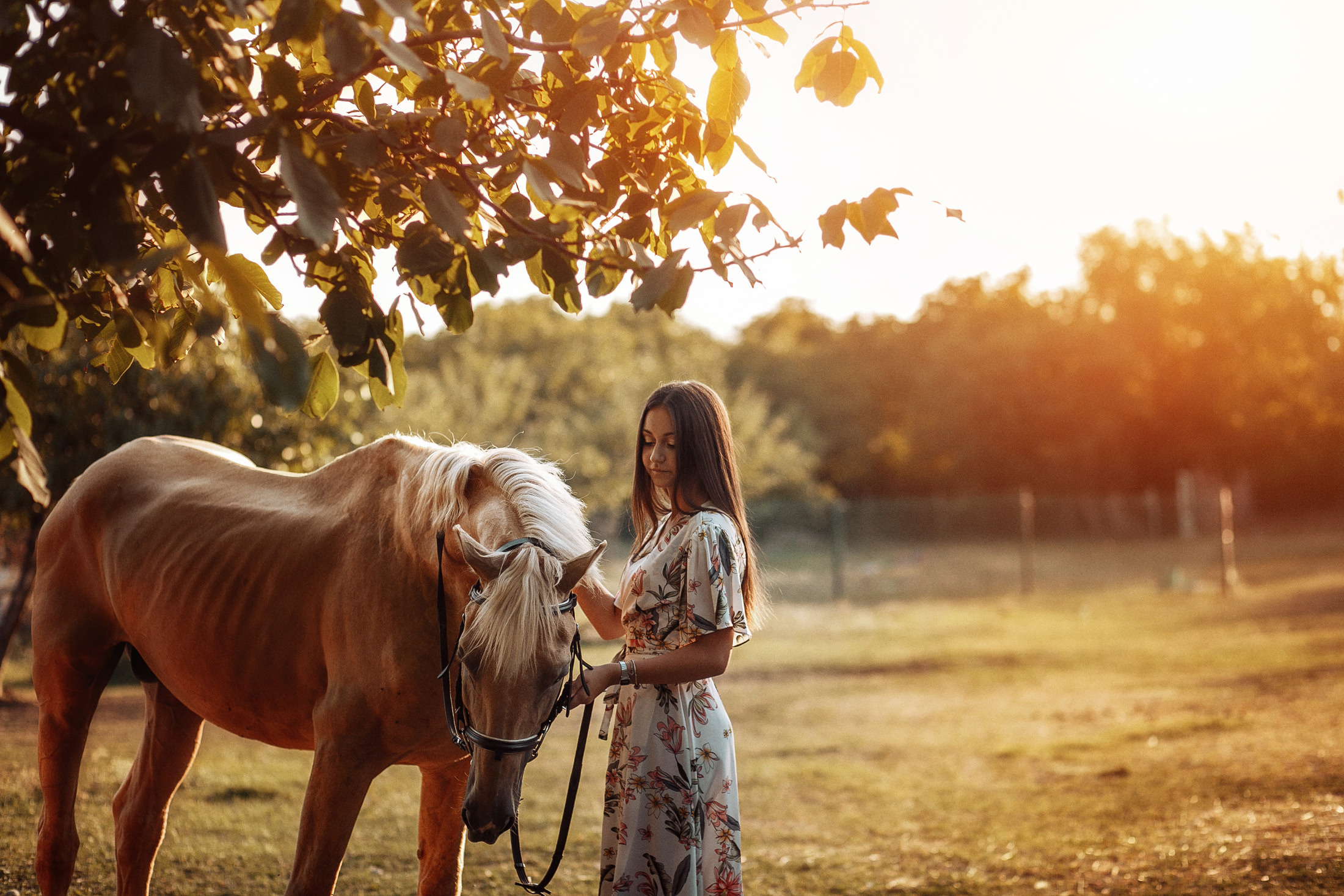 София. Свадебный и семейный фотограф  Новочеркасск Виктория Литвиненко