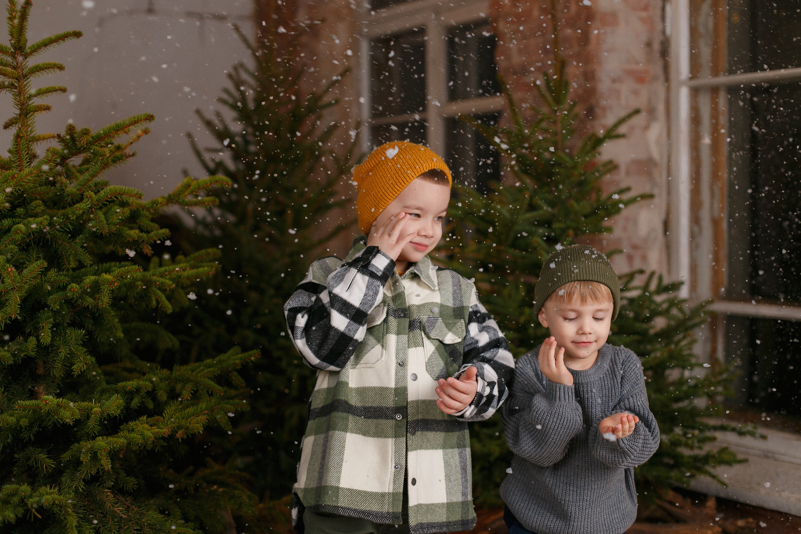 Семья Саши. Свадебный и семейный фотограф  Новочеркасск Виктория Литвиненко
