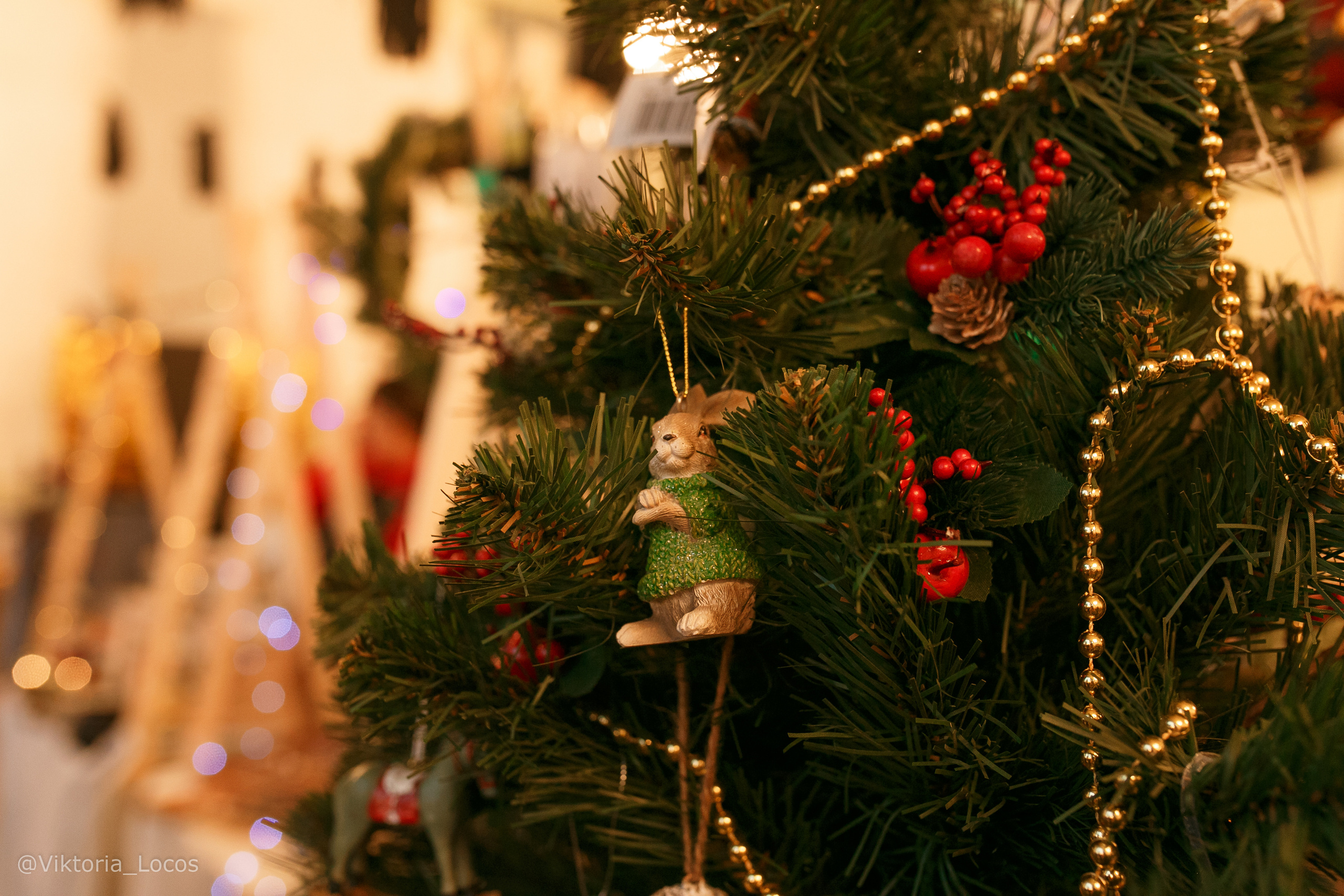 Блошка-маркет в Новочеркасске. Свадебный и семейный фотограф  Новочеркасск Виктория Литвиненко