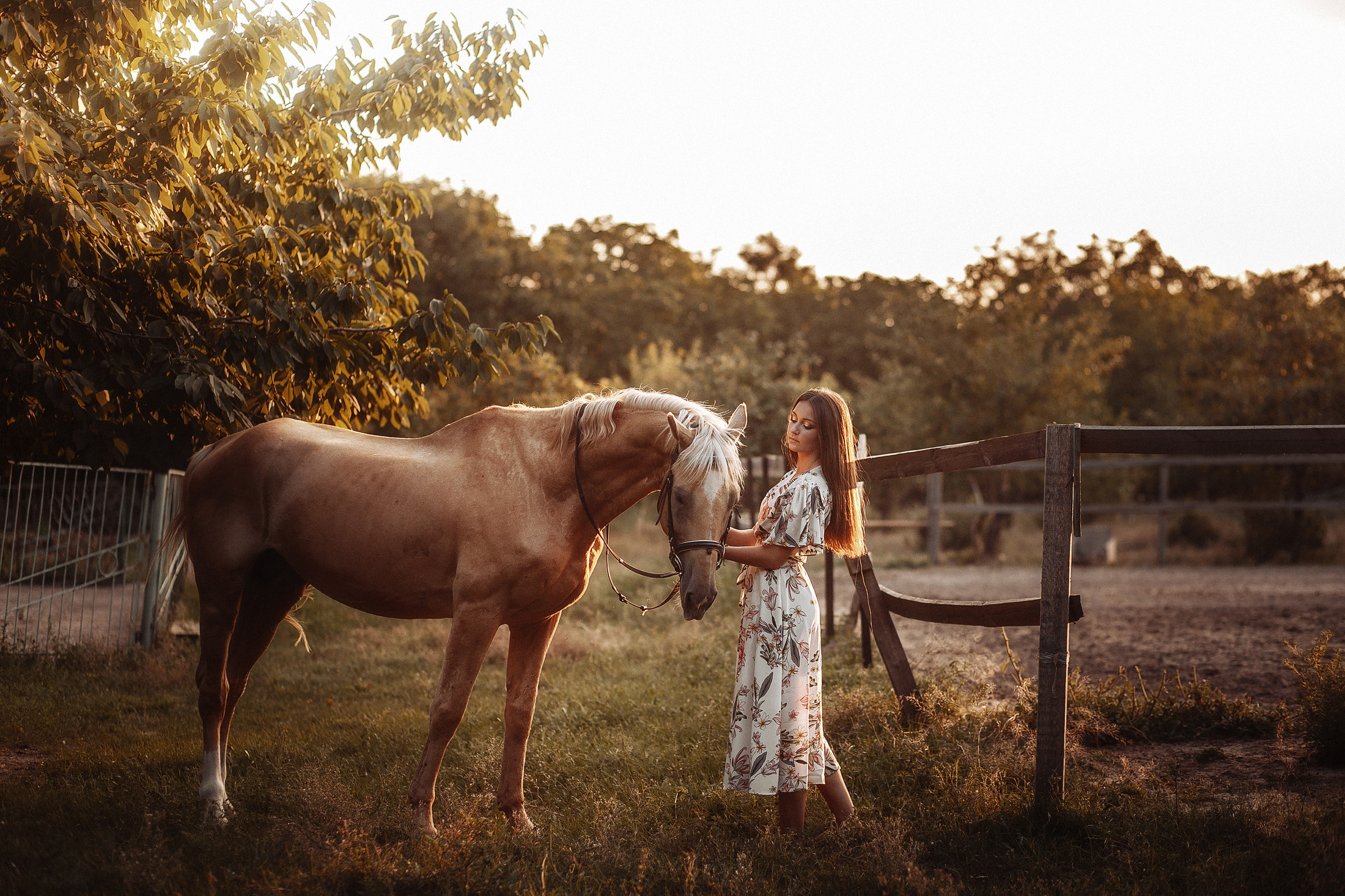 София. Свадебный и семейный фотограф  Новочеркасск Виктория Литвиненко