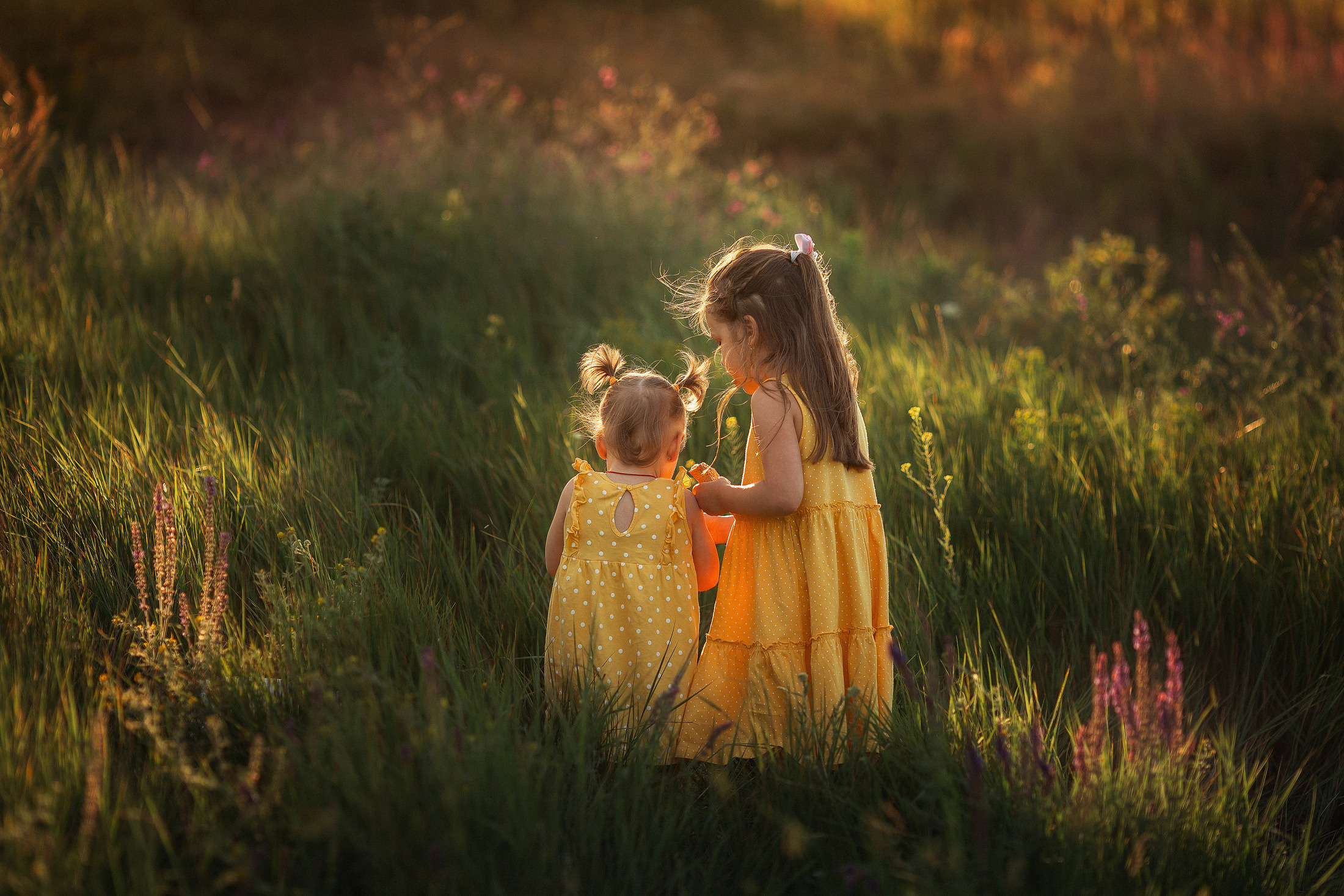 Семья Анжелы. Свадебный и семейный фотограф  Новочеркасск Виктория Литвиненко