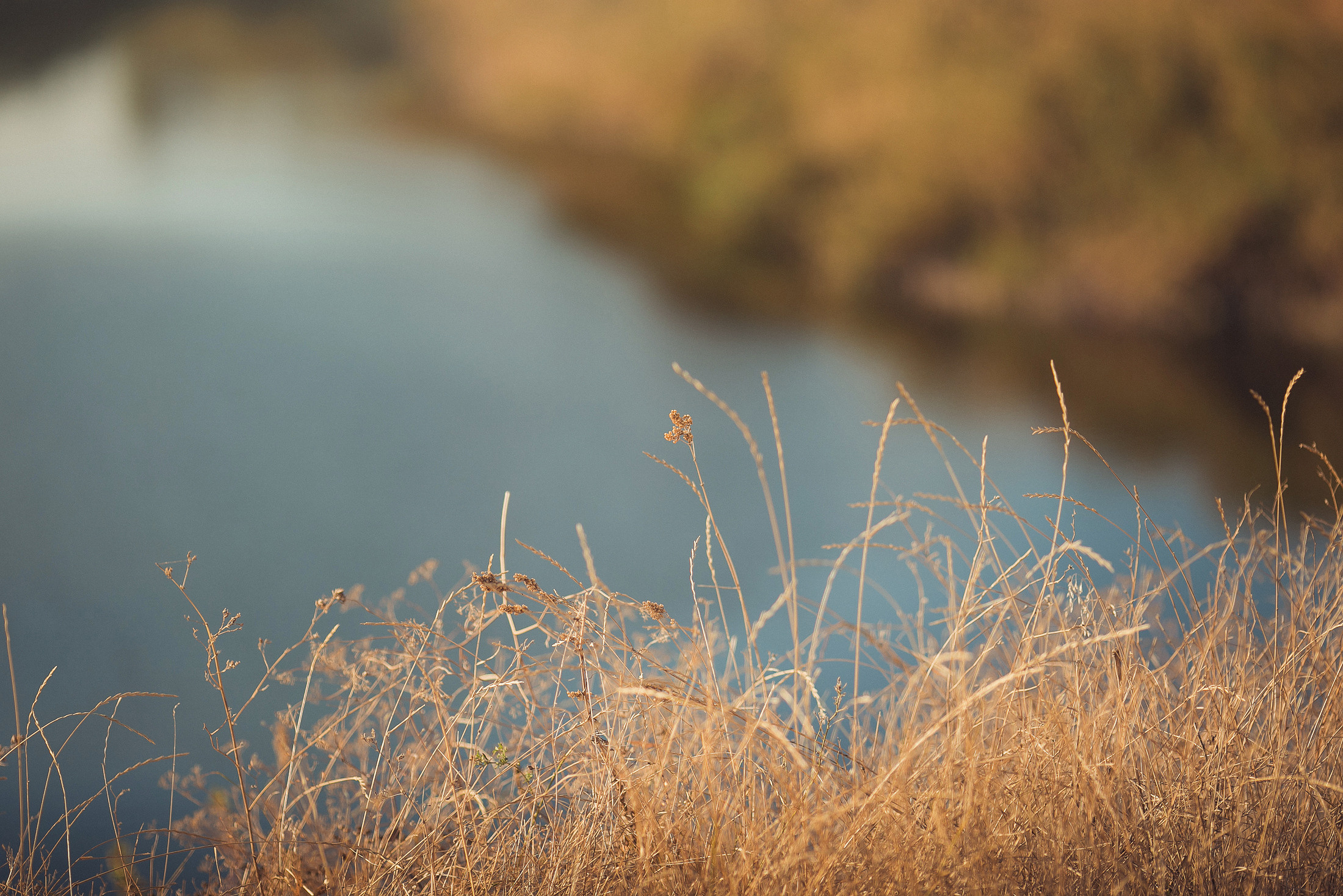 Семейная фотосессия на пруду на природе. Свадебный и семейный фотограф  Новочеркасск Виктория Литвиненко
