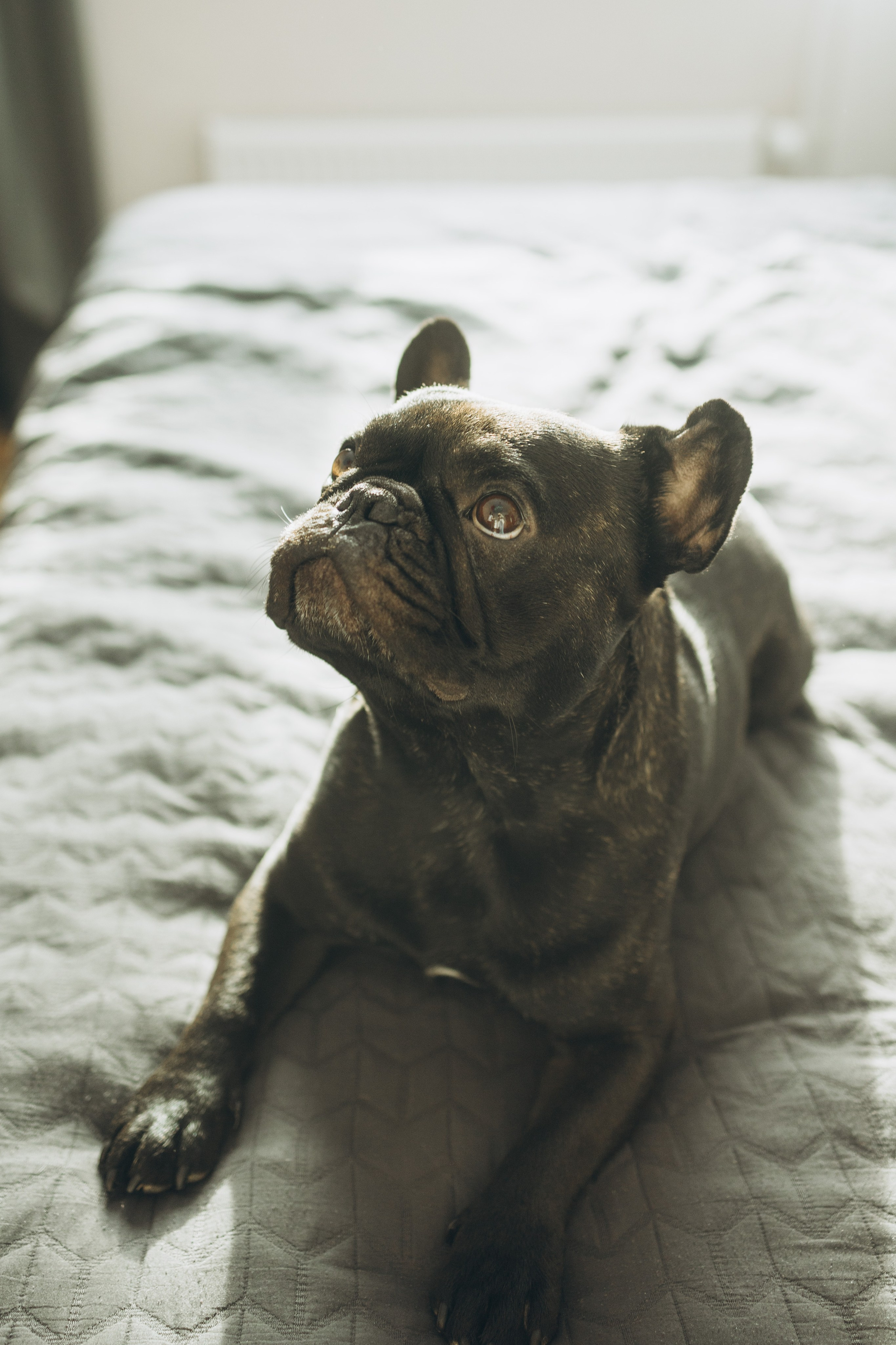 Настя и Кирилл Беременность. Семейный фотограф в Москве Виктория Ястребинская