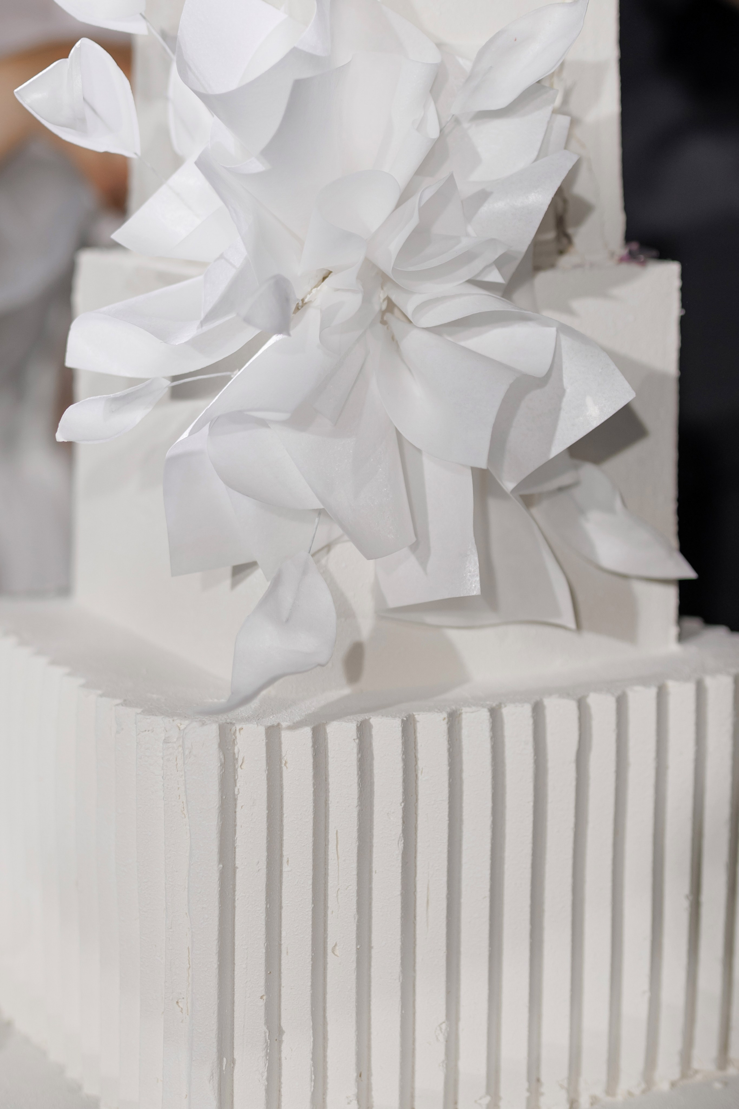 НИКИТА И ДАРЬЯ. Фотограф Светлана Буня