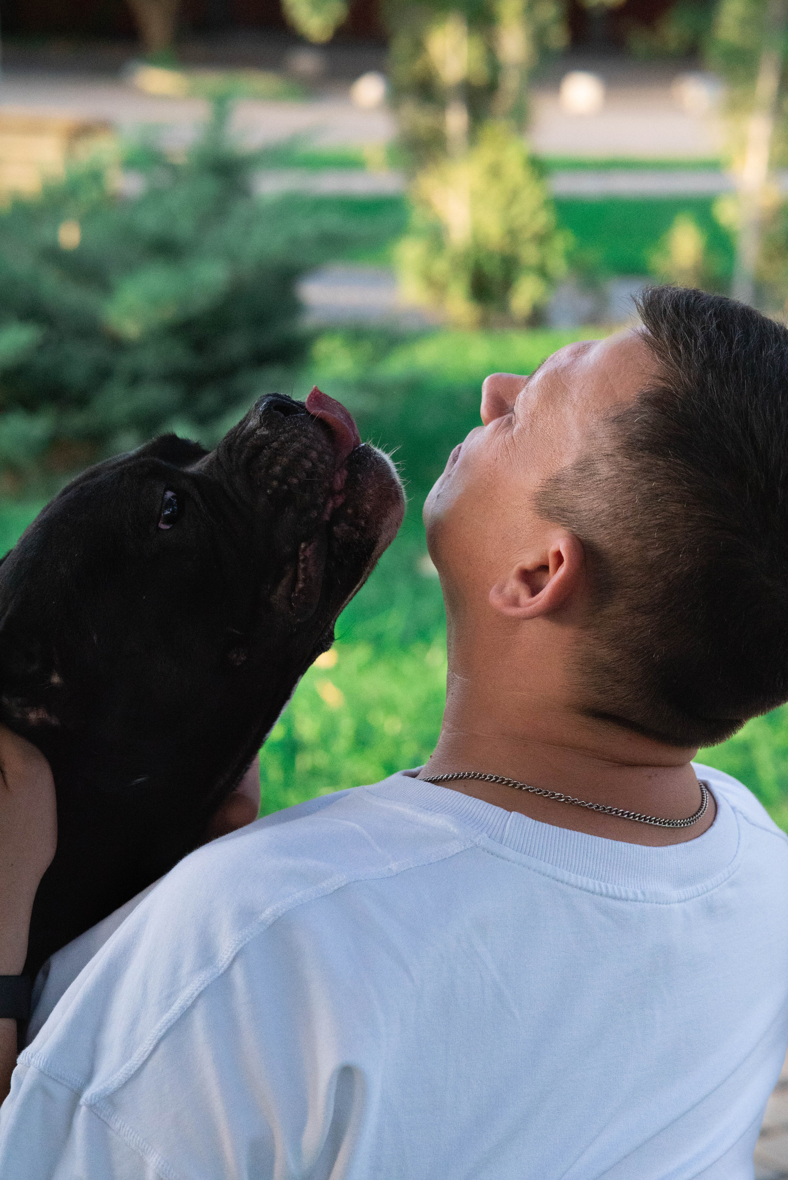 Фотосессии с собаками. Фотограф Краснодар Наталья Сувит