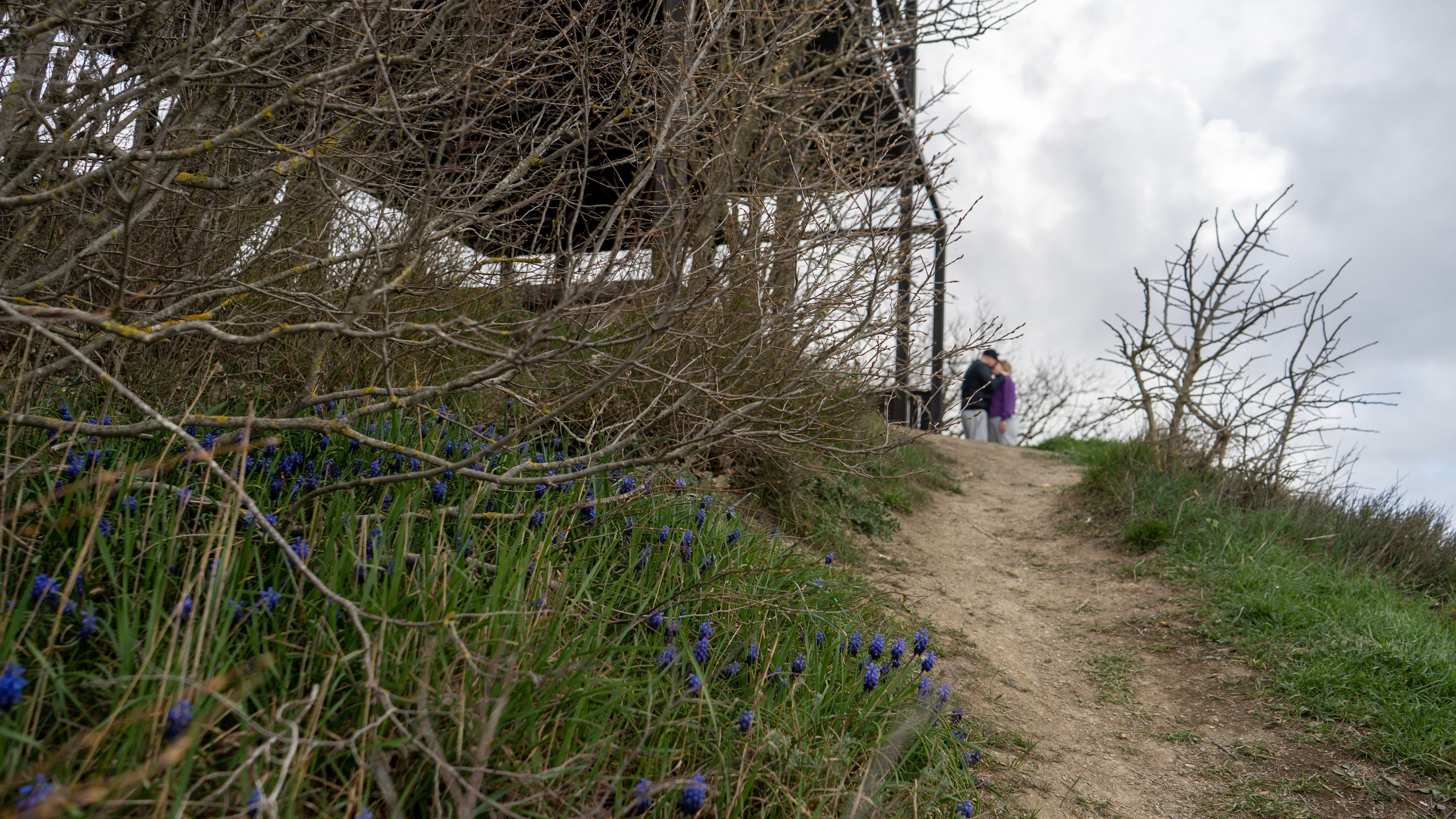 Артем и Людмила. Семейный и детский фотограф Екатерина Черняева. Снимаю портреты, love story, фотопрогулки, работаю на улице, в кафе, студии, дома у клиента