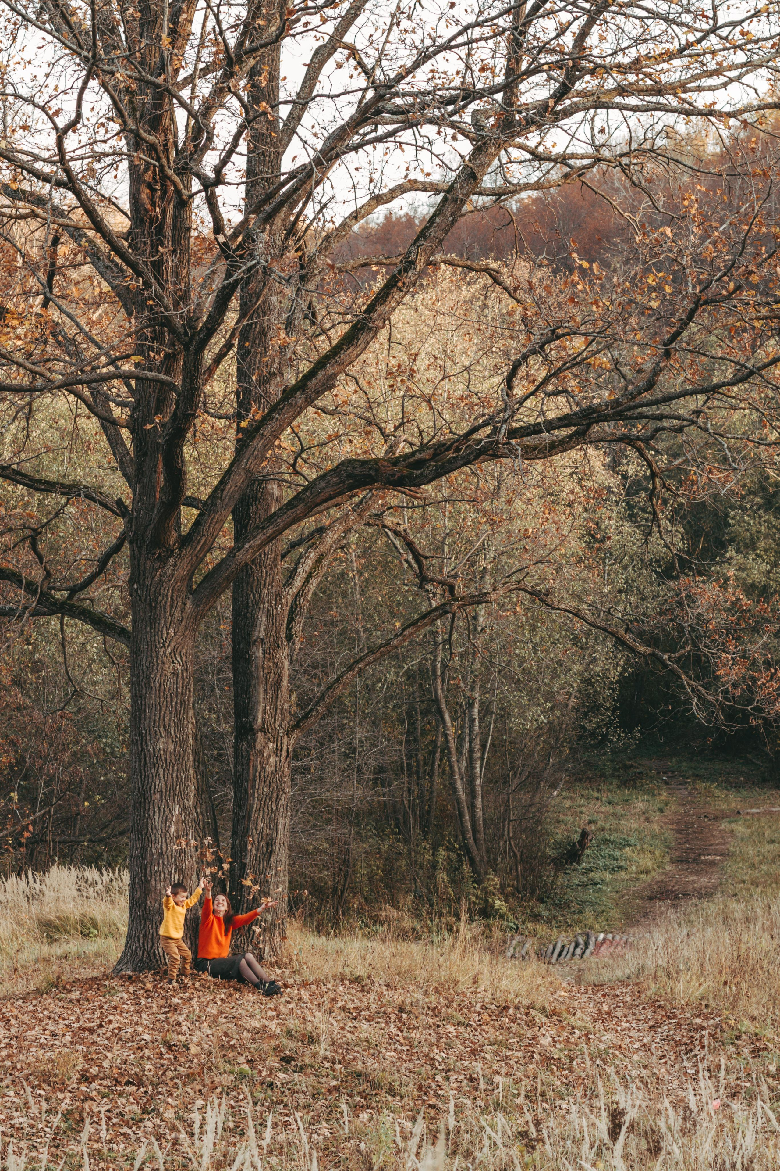 Лесная прогулка. Фотограф Чебоксары