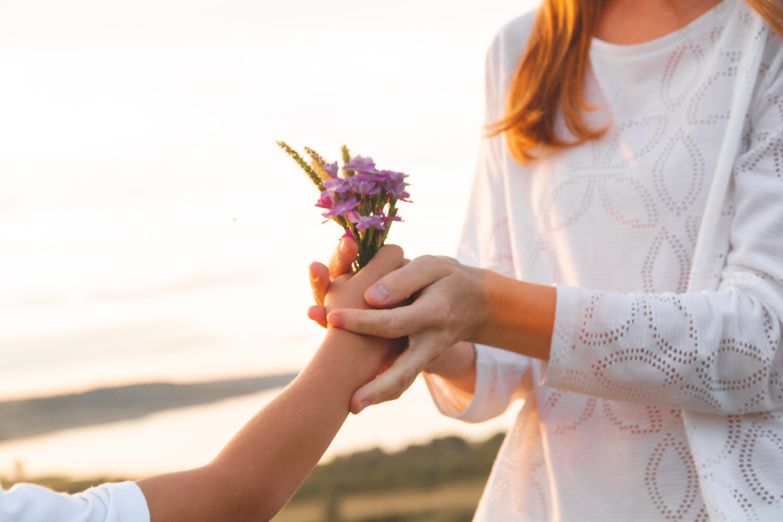 Берег Волги. Фотограф Чебоксары
