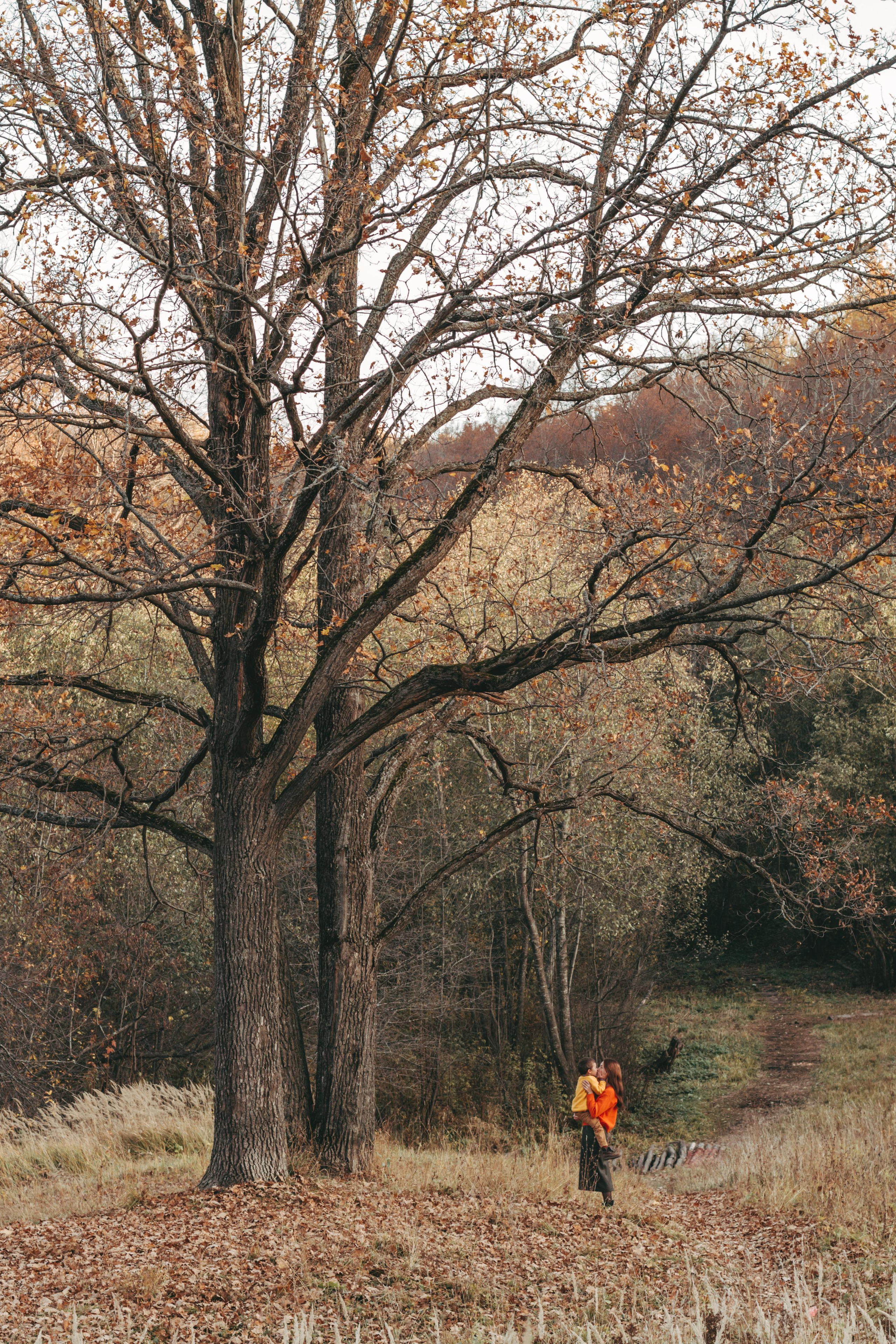 Лесная прогулка. Фотограф Чебоксары