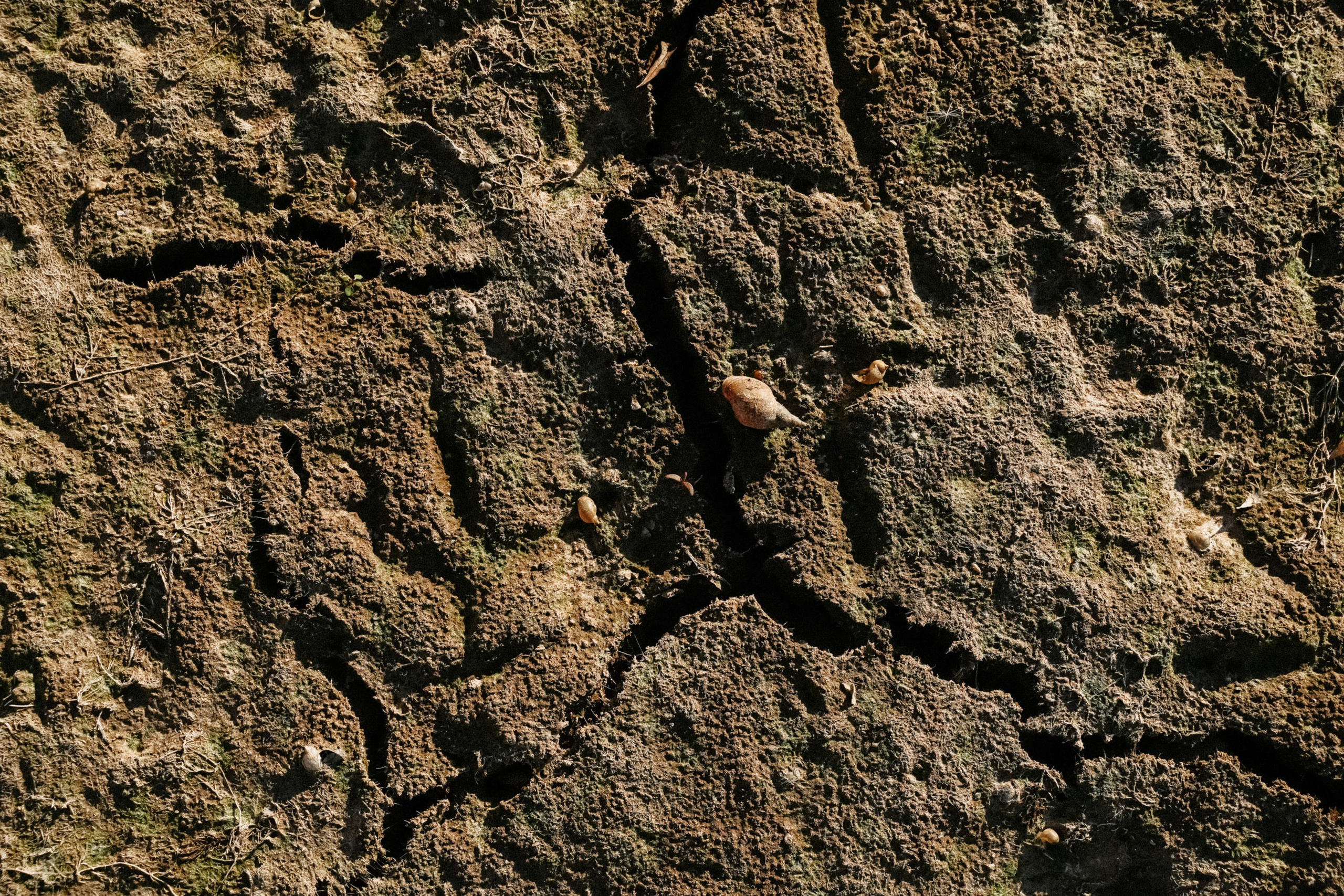 Творчество