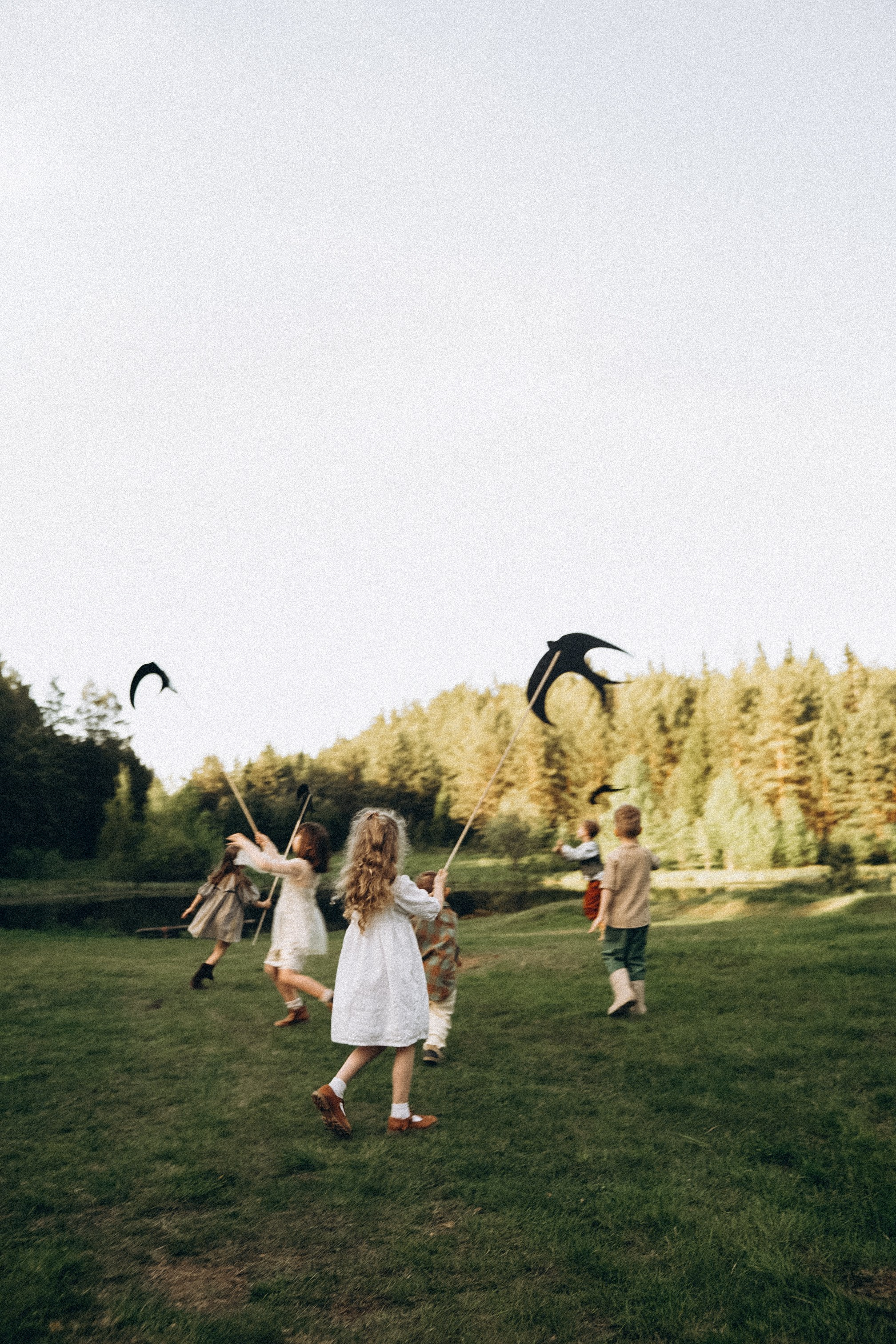 Дети-птицы. Семейный свадебный фотограф Екатеринбург Первоуральск Шарнина Алёна
