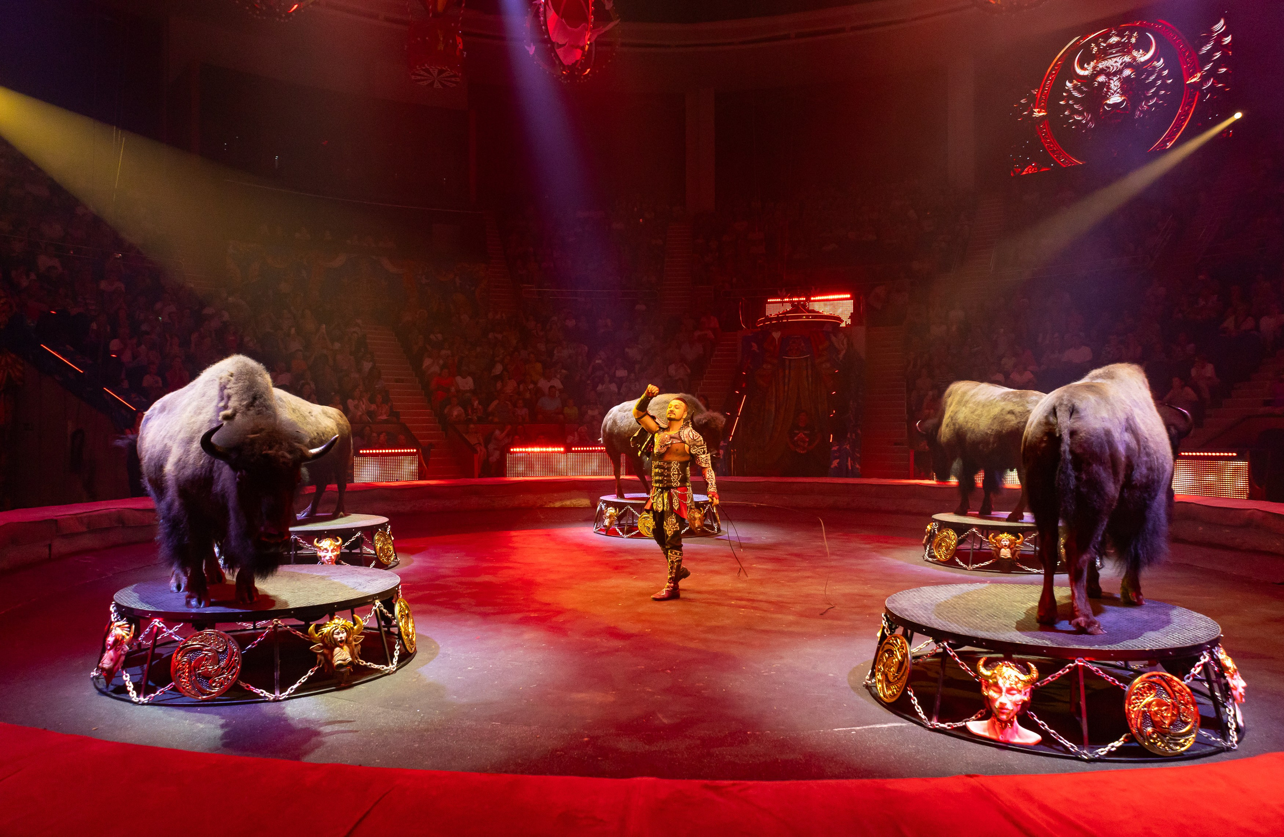 Цирк ГИИ ЭРАДЗЕ. Семейный и Свадебный фотограф в Сочи