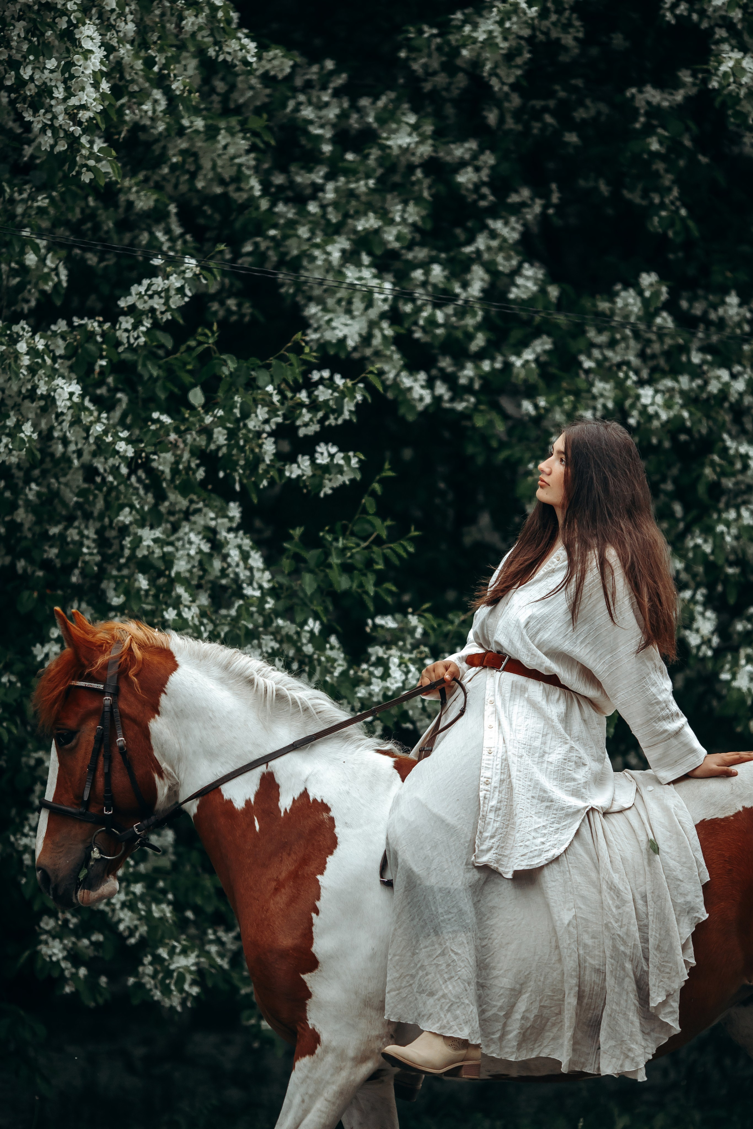 Фотосессия с лошадью тюмень, фотосъемка с лошадью тюмень, конные прогулки тюмень, фотосессии с лошадьми тюмень