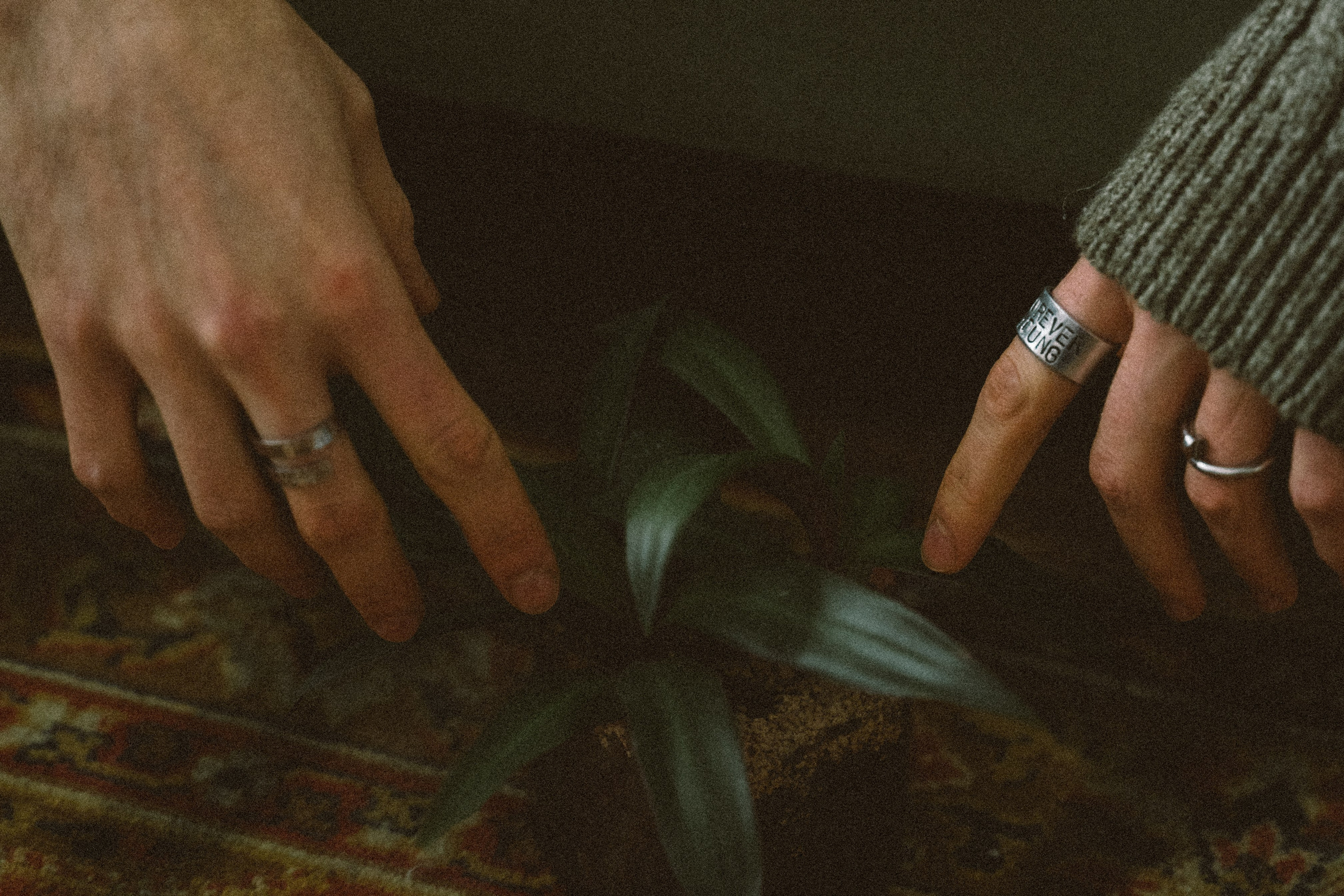 Зорко одно лишь сердце. Главная