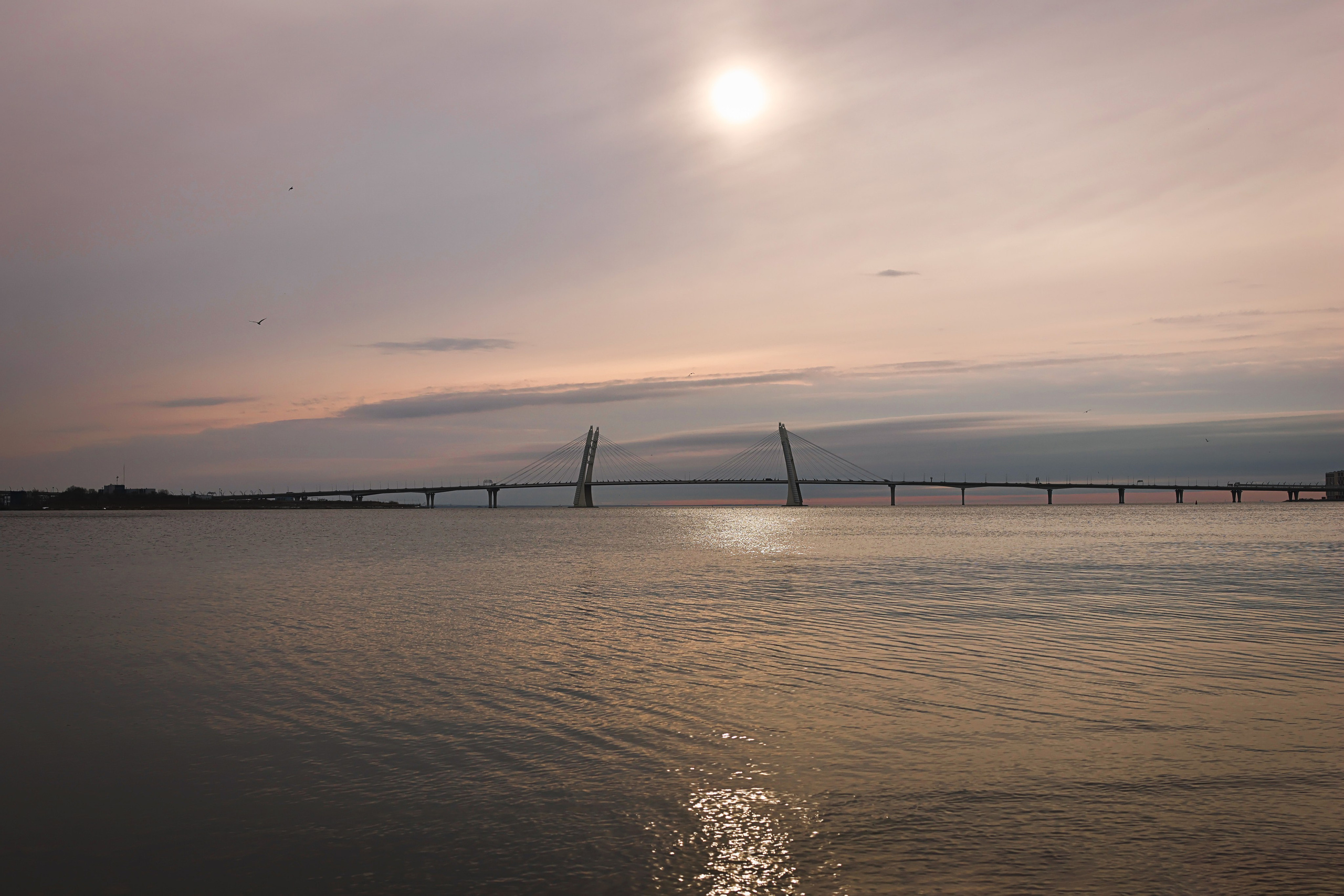 Город, деревня, улицы, дома…жизнь. Фотограф портретист в Санкт Петербурге Дроздова Алла