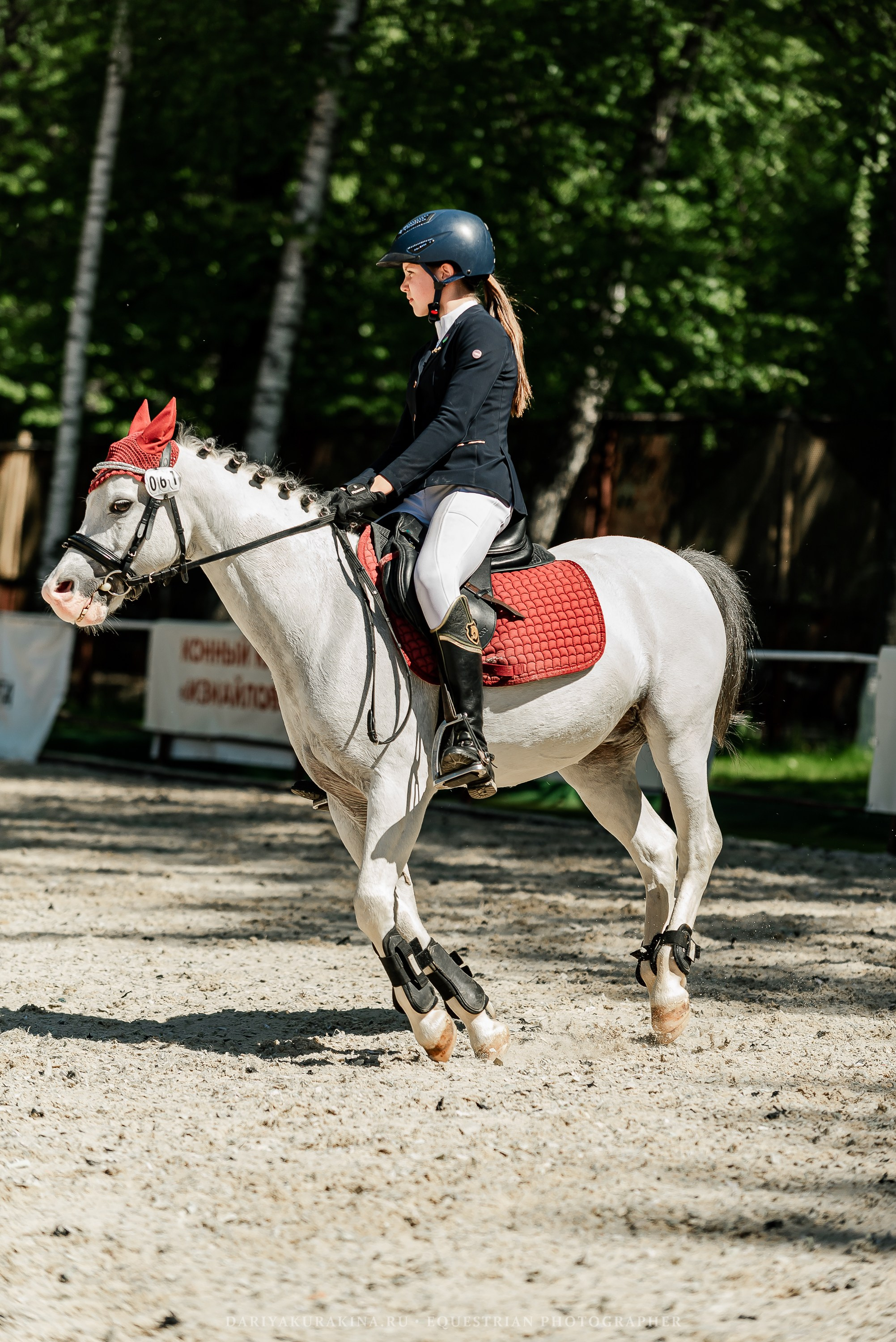 #ПОНИФОРУМ 2024. Конный фотограф Куракина Дарья • Фотосессии с лошадьми