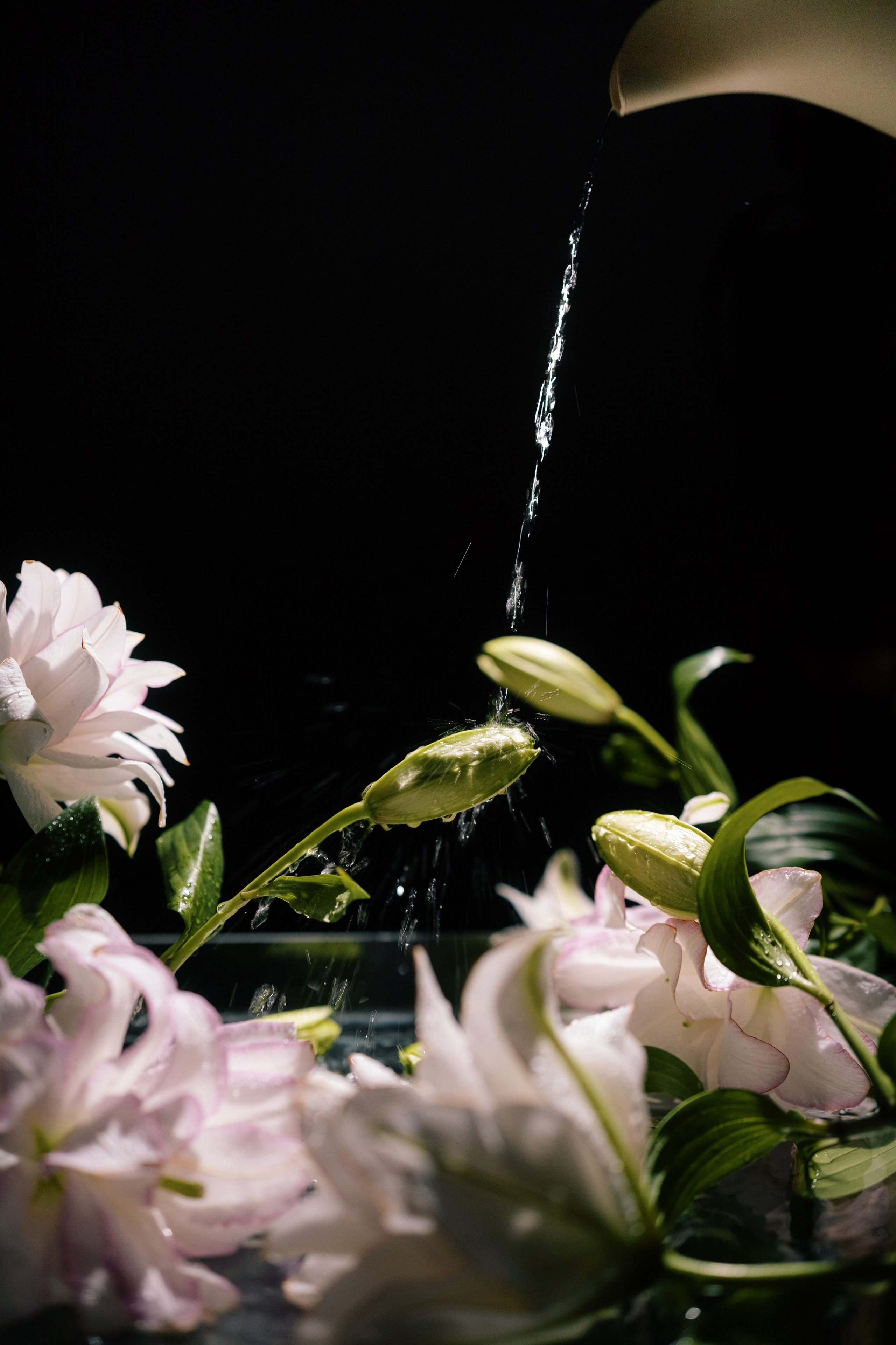 Алина. Фотограф Артём Бобков Сургут