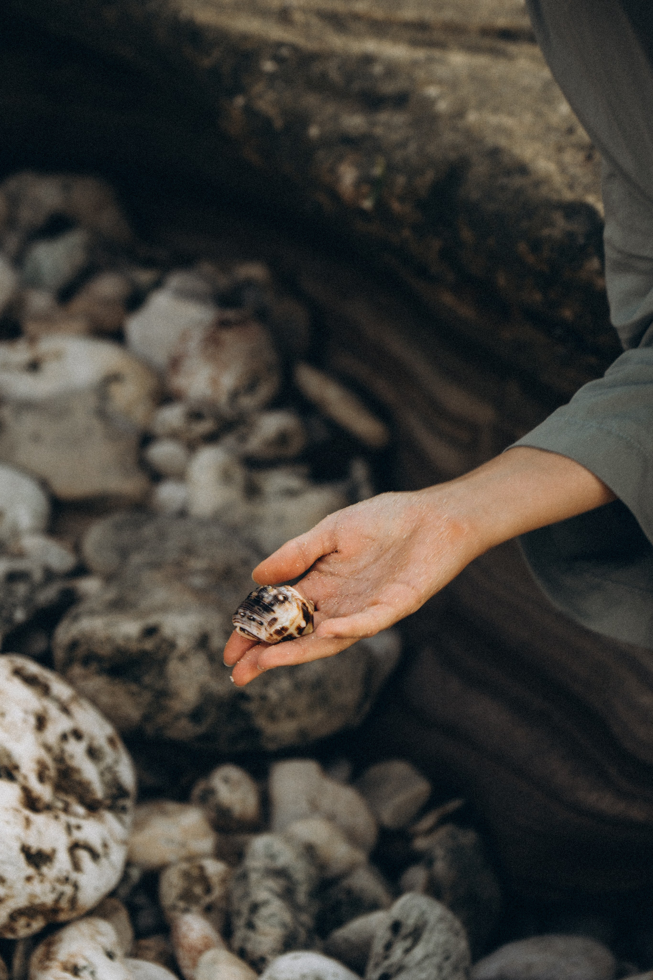 Delya. Olga Antipova — photographer