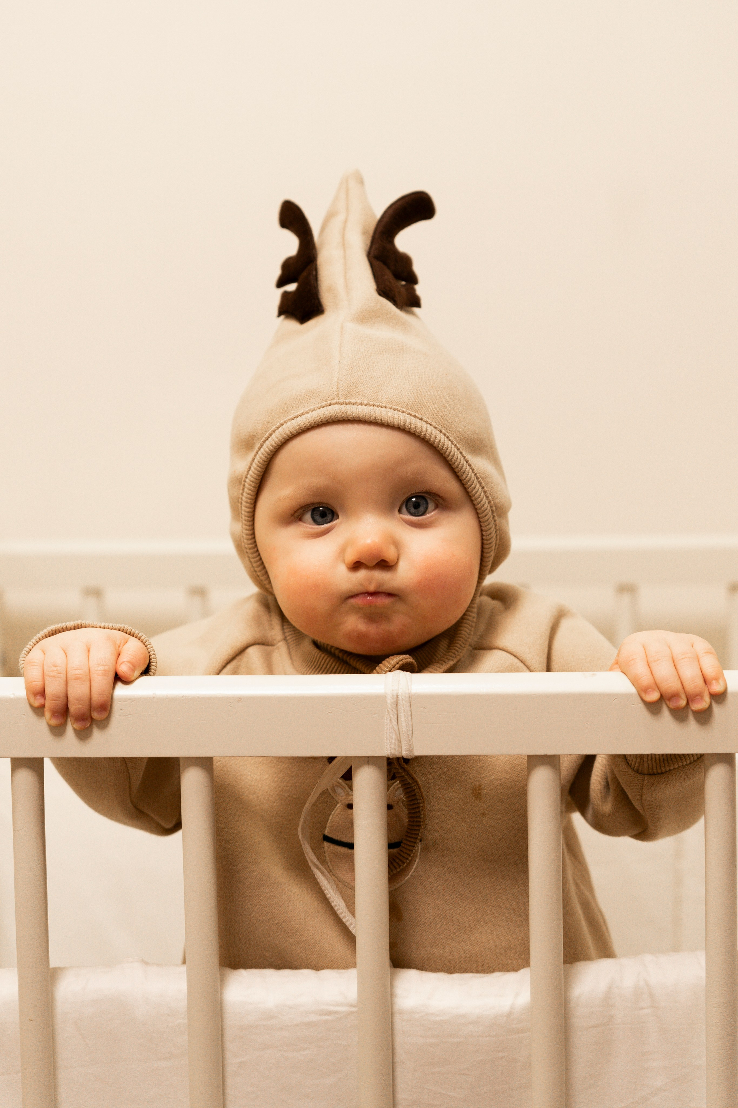 Новогодние тройняшки. Главная