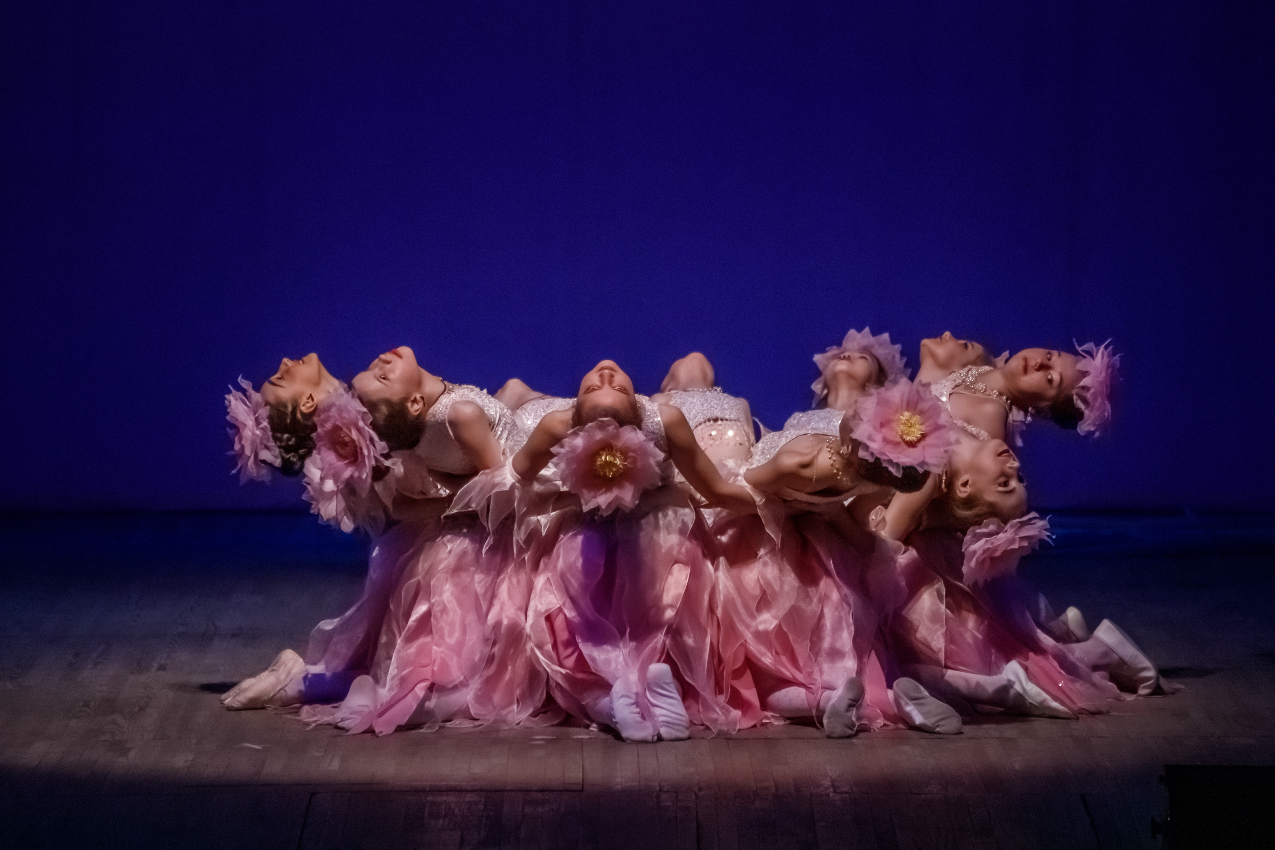 ЛОТОС в ДК ПОБЕДА. Фотограф для хороших людей в Юрге, Томске, Кемерово, Республике Алтай