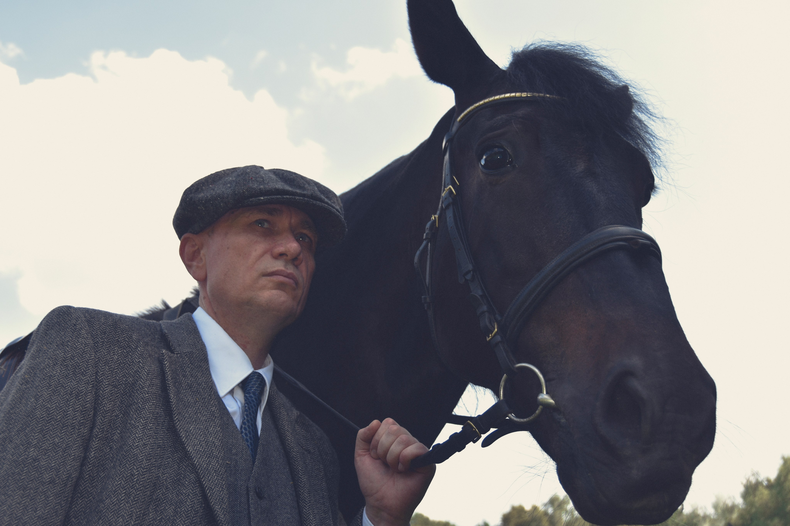 Рафаэль и Султан. Peaky Blinders. Конный фотограф Москва