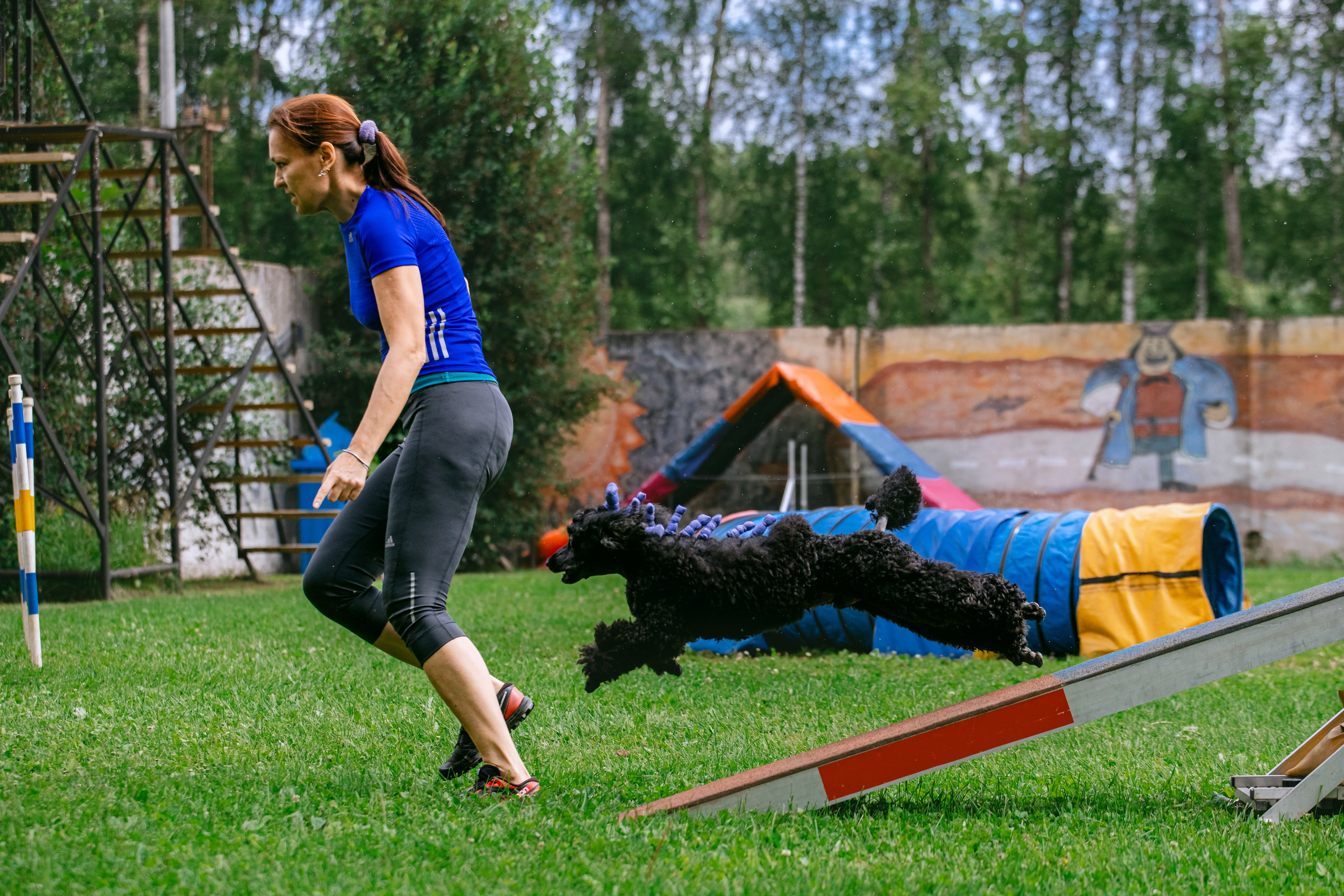 Соревнования по аджилити Долгопрудный 30.06.2025. Фотограф-анималист Татьяна Степанова