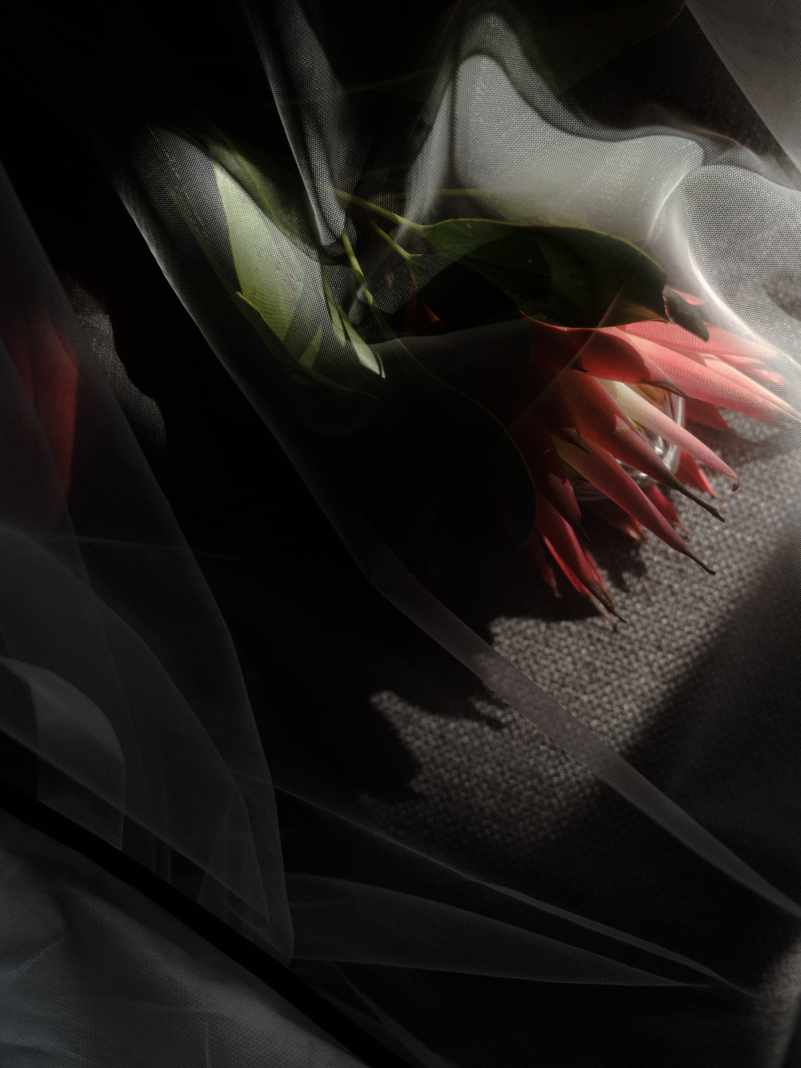 Салон свадебных платьев BrideWedd. СВАДЕБНЫЙ ФОТОГРАФ Яна Арбан Йошкар-Ола/Казань/Москва/Санкт-Петербург