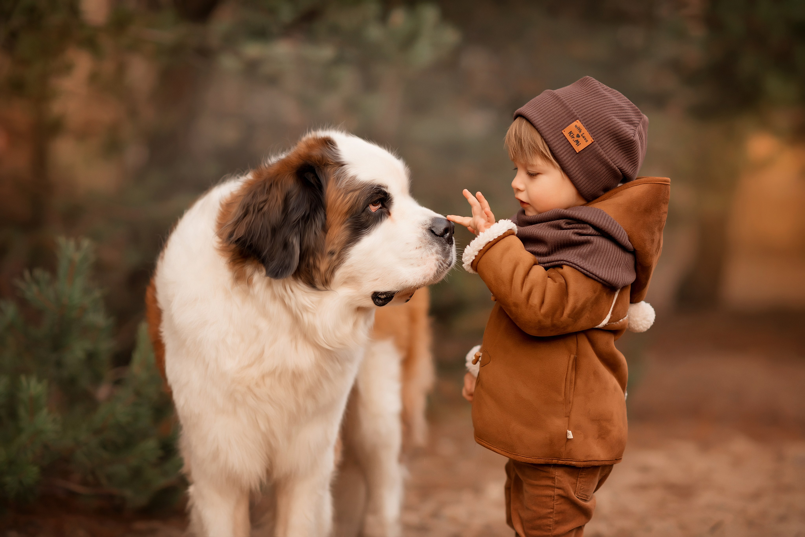 Обучение фото