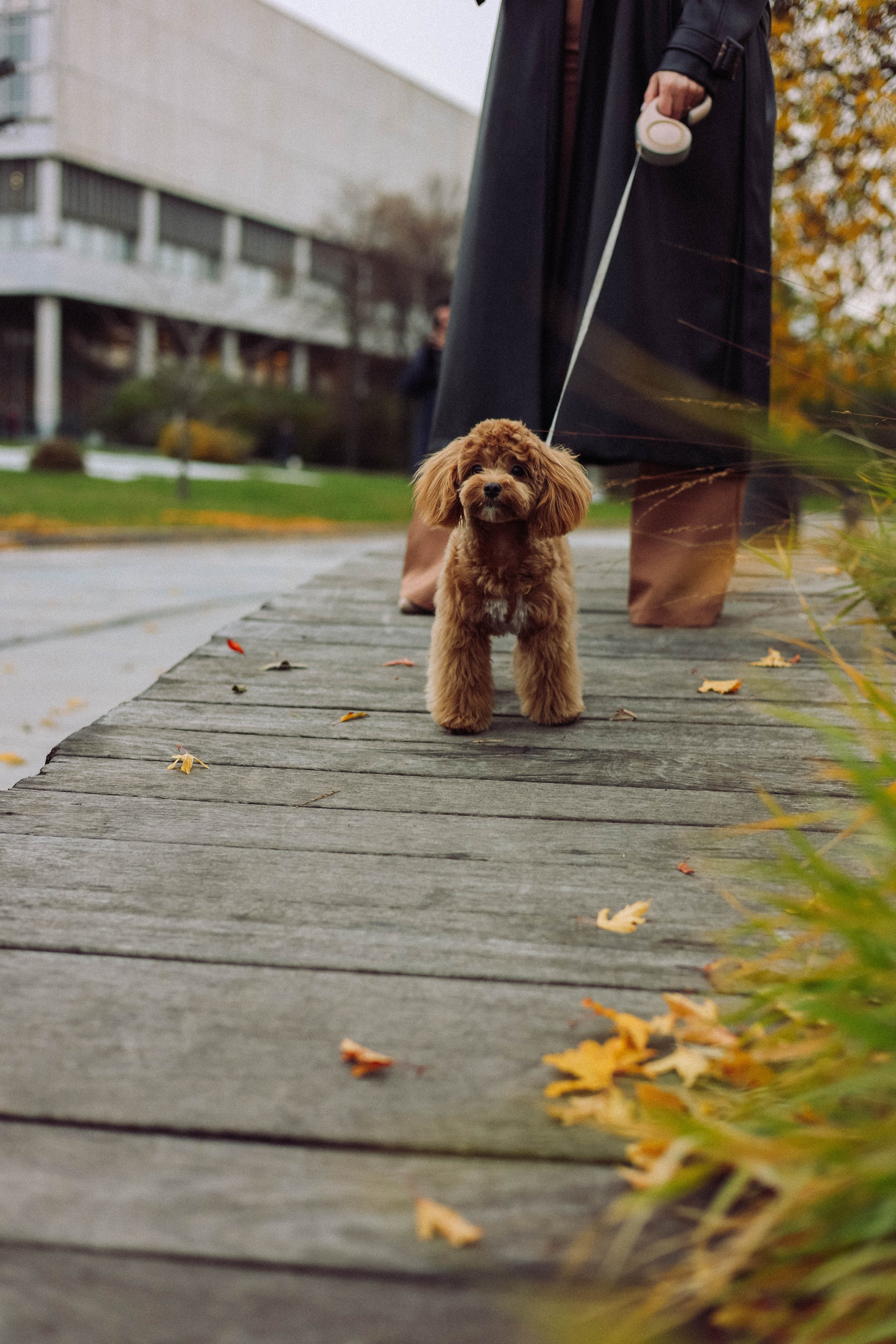 Кира. Фотограф в Москве Анастасия Калинина