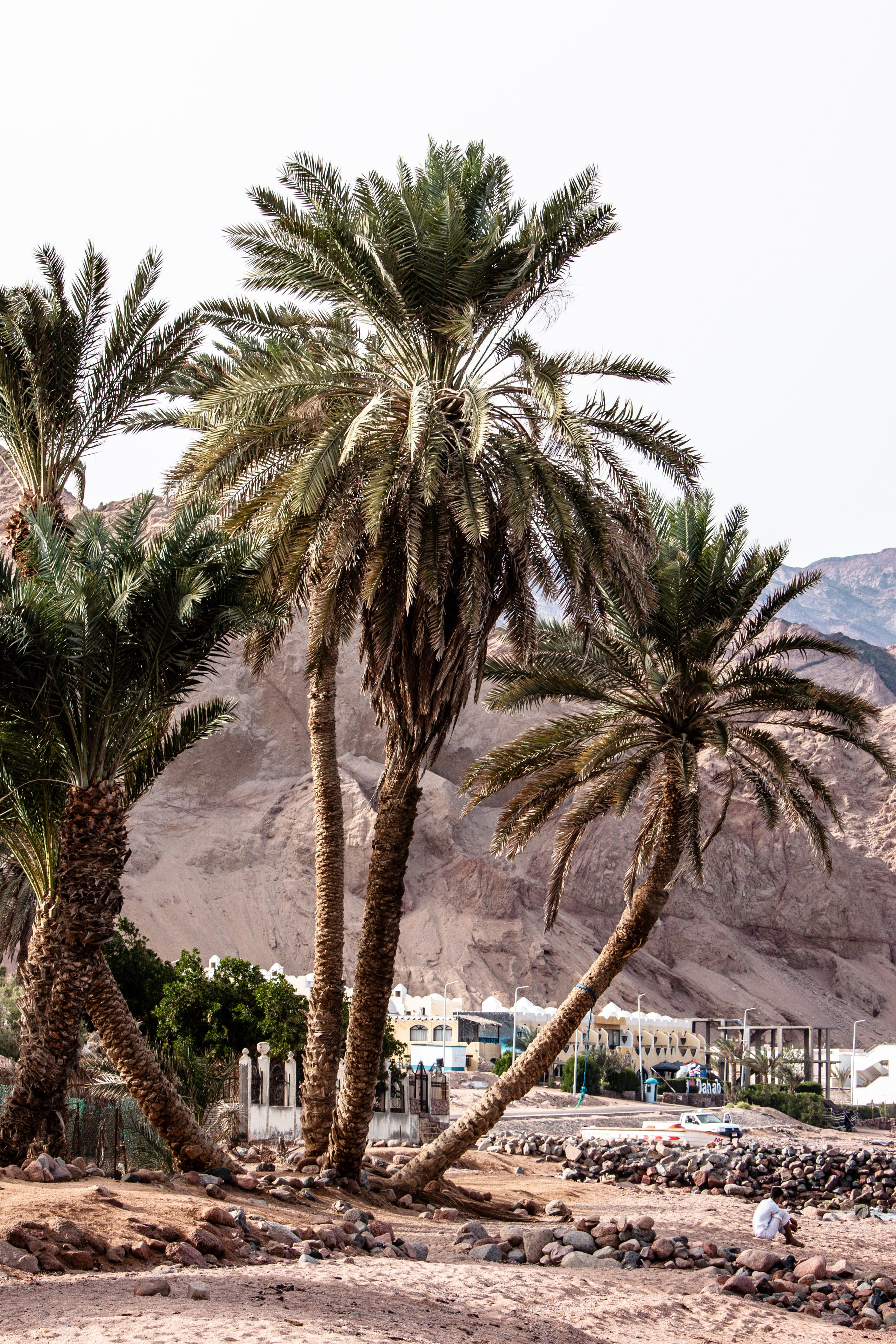 DAHABibi. Дария Галямова — фотограф: открытый, творческий, коммерческий