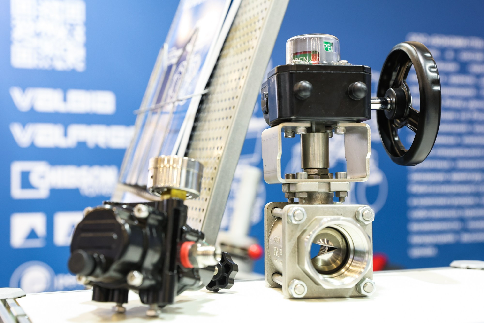 PulpFor 2024. Фотограф Дарья Попова