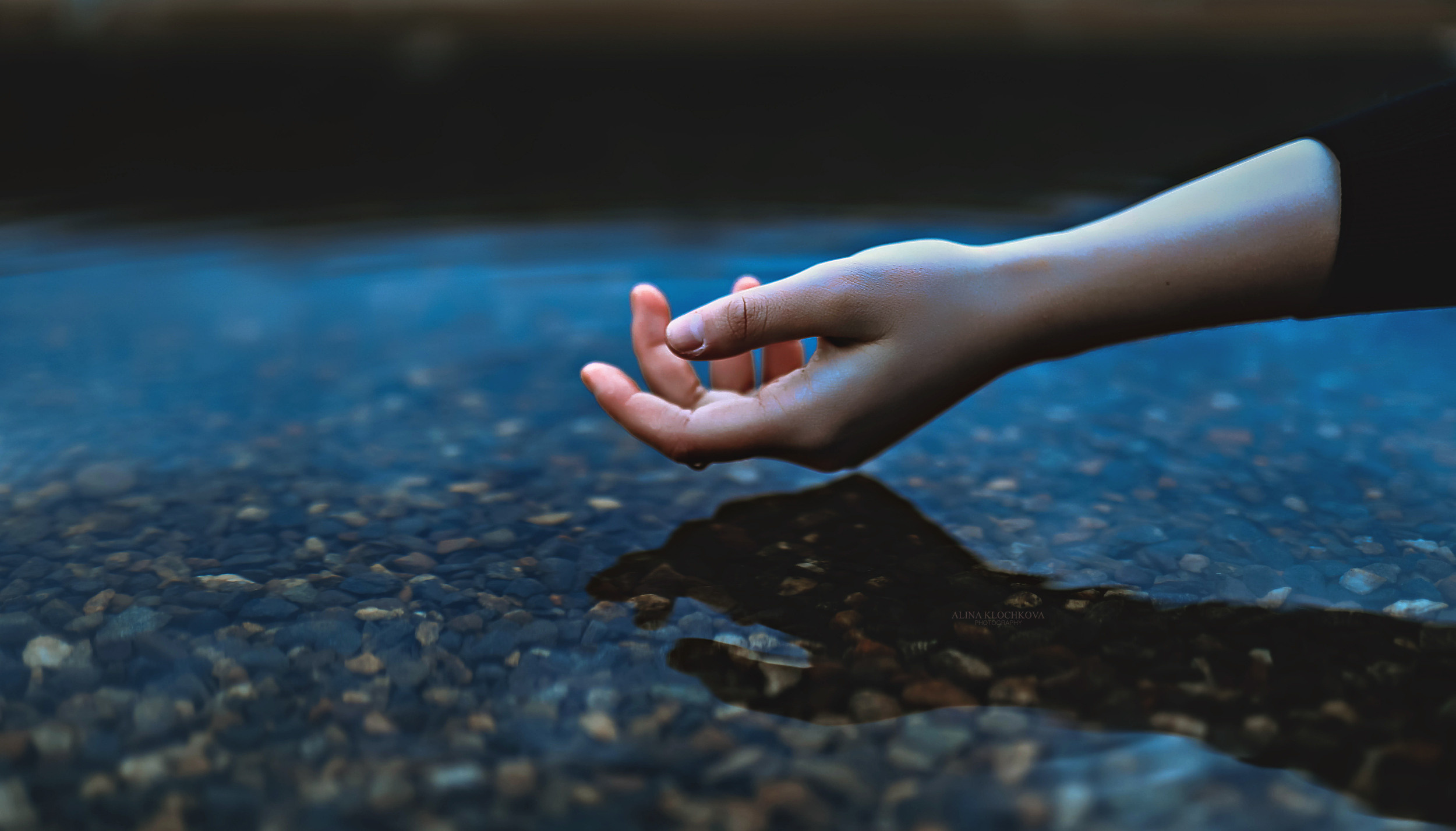 Цветы. Фотограф в Ставрополе Алина Клочкова