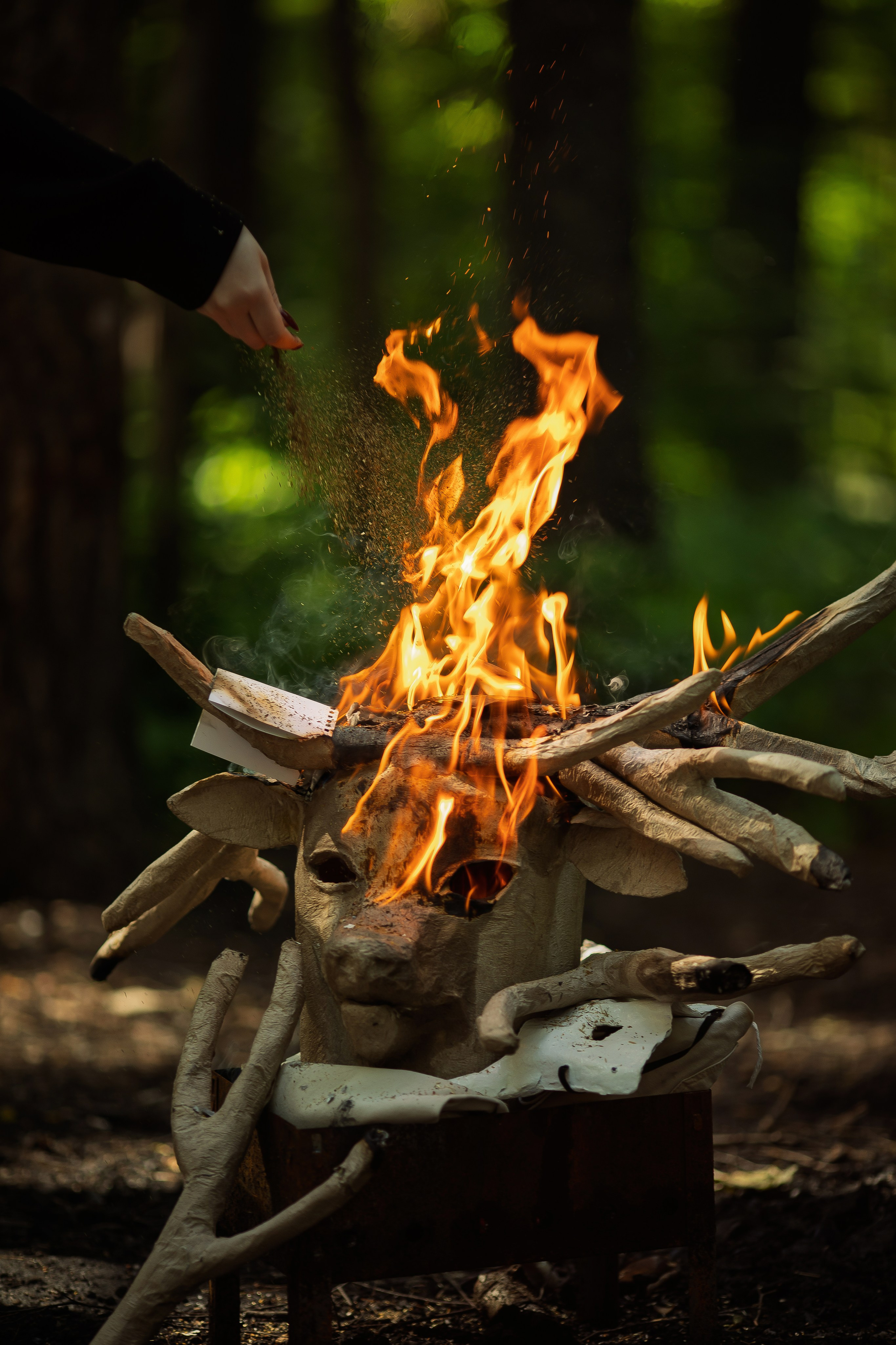 Фотопроект «Духи леса» — маски из папье-маше, свет и тишина природы. Фотограф Анна Грошикова — авторская съёмка на рассвете и закате в Москве, Мытищах, Солнечногорске и Московской области
